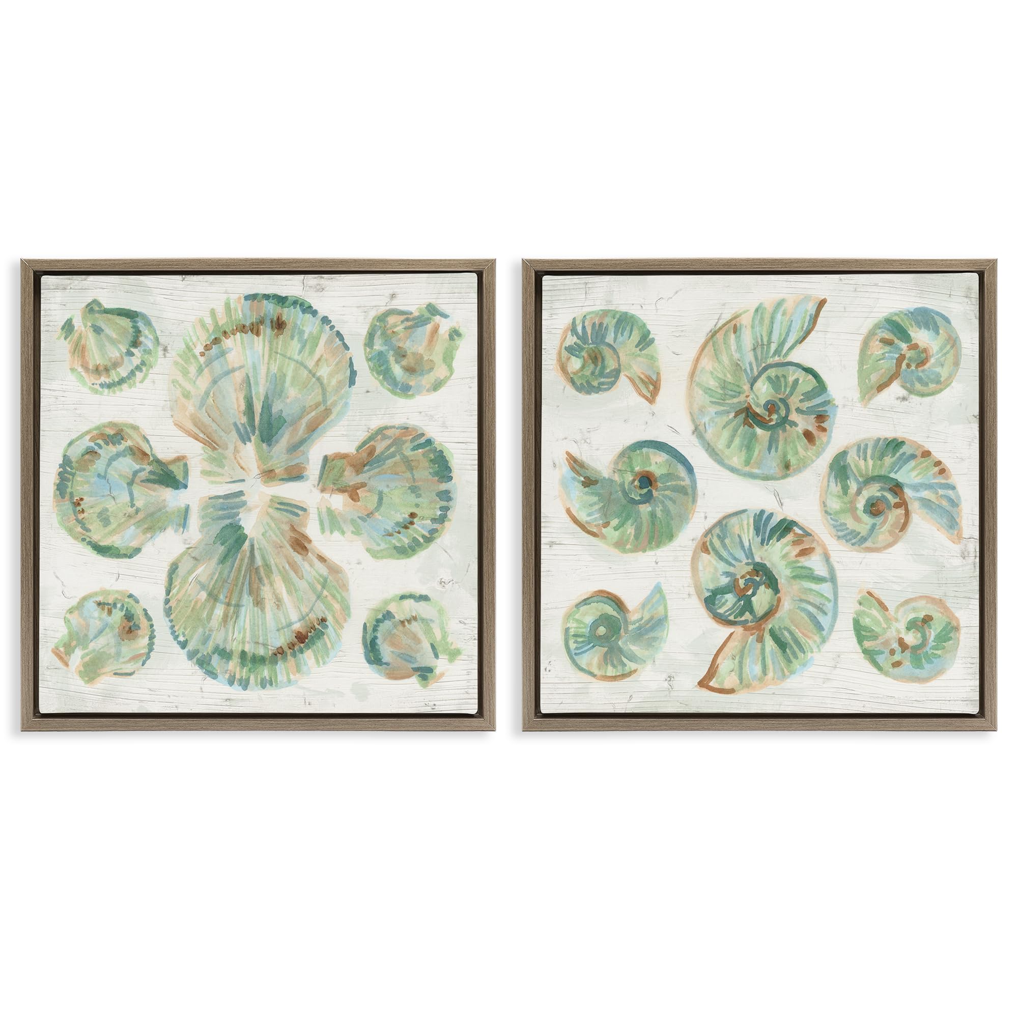 Stupell Industries Montalcino Elm (Textured) 'Saltwashed Seashells Pattern'| 2Pc Floating Frame Art Set 2