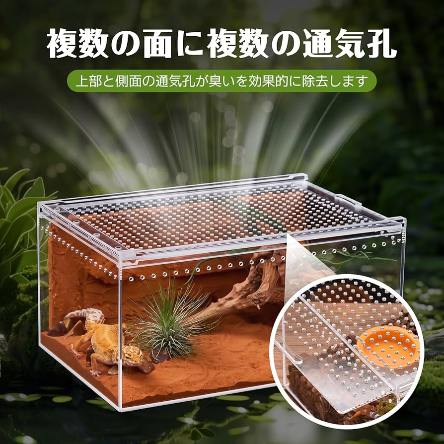 Amazon | Whtkoph 爬虫類飼育箱 レプタイルボックス換気 通気性