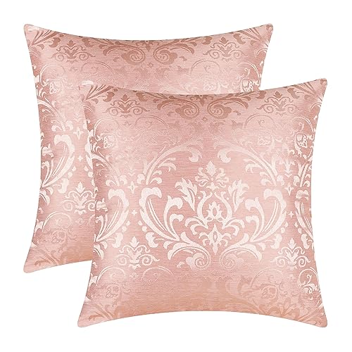 CaliTime Pack of 2 Throw Pillow Covers Cases for Couch
