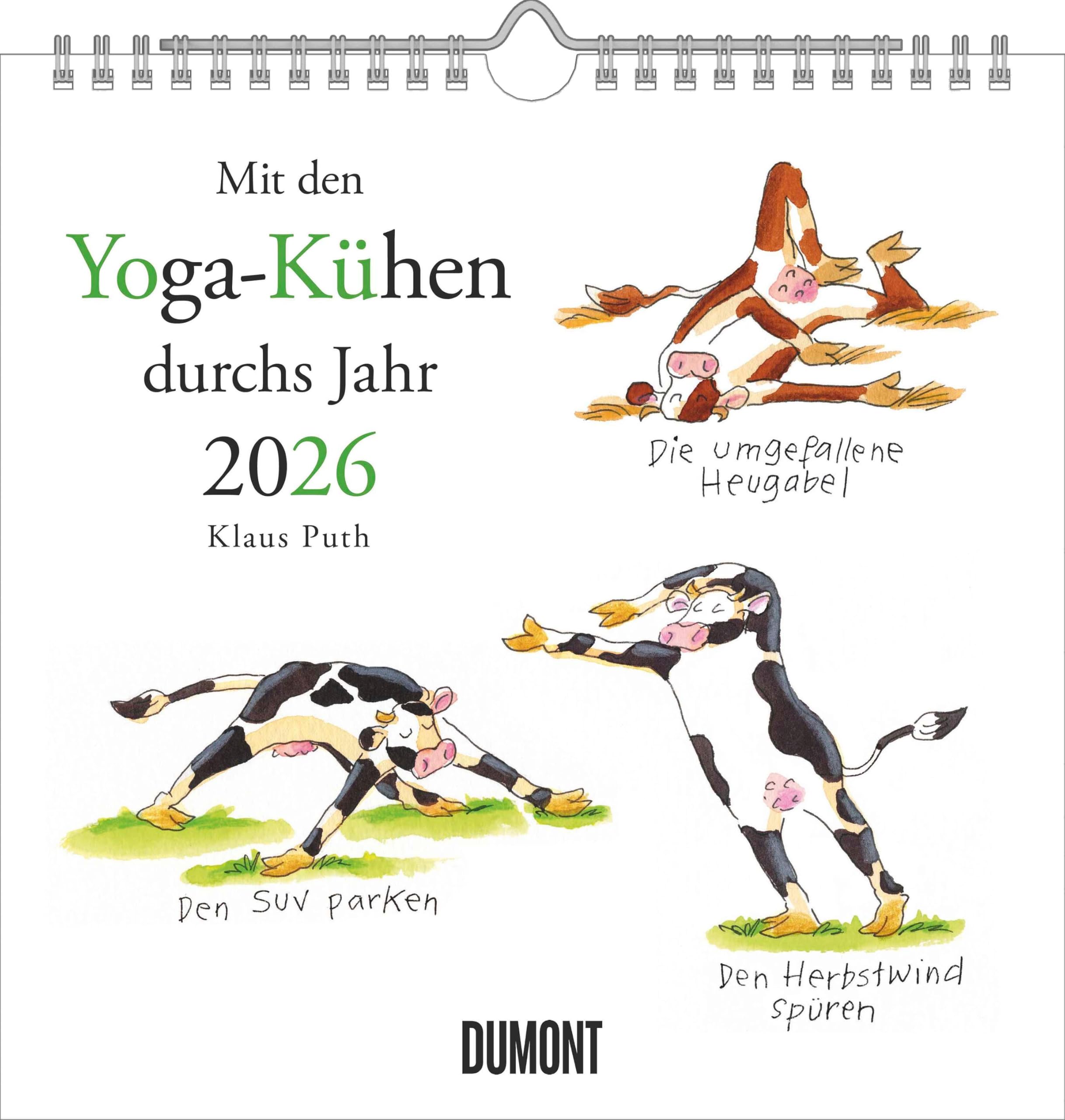 DUMONT - Mit den Yoga-Kühen durchs Jahr 2026 – Wandkalender – Quadratformat 23 x 23 cm, 12 Illustrationen der Yoga Kühe