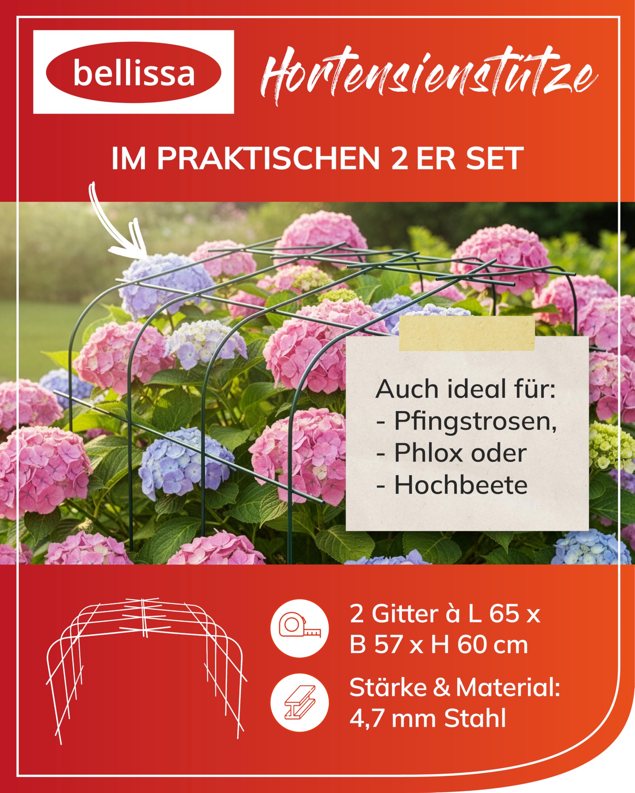 bellissa - Supporto per ortensie (Annabelle) – Supporto per piante in metallo zincato a caldo 65 cm – Supporto per ortensie e piante per grandi fiori