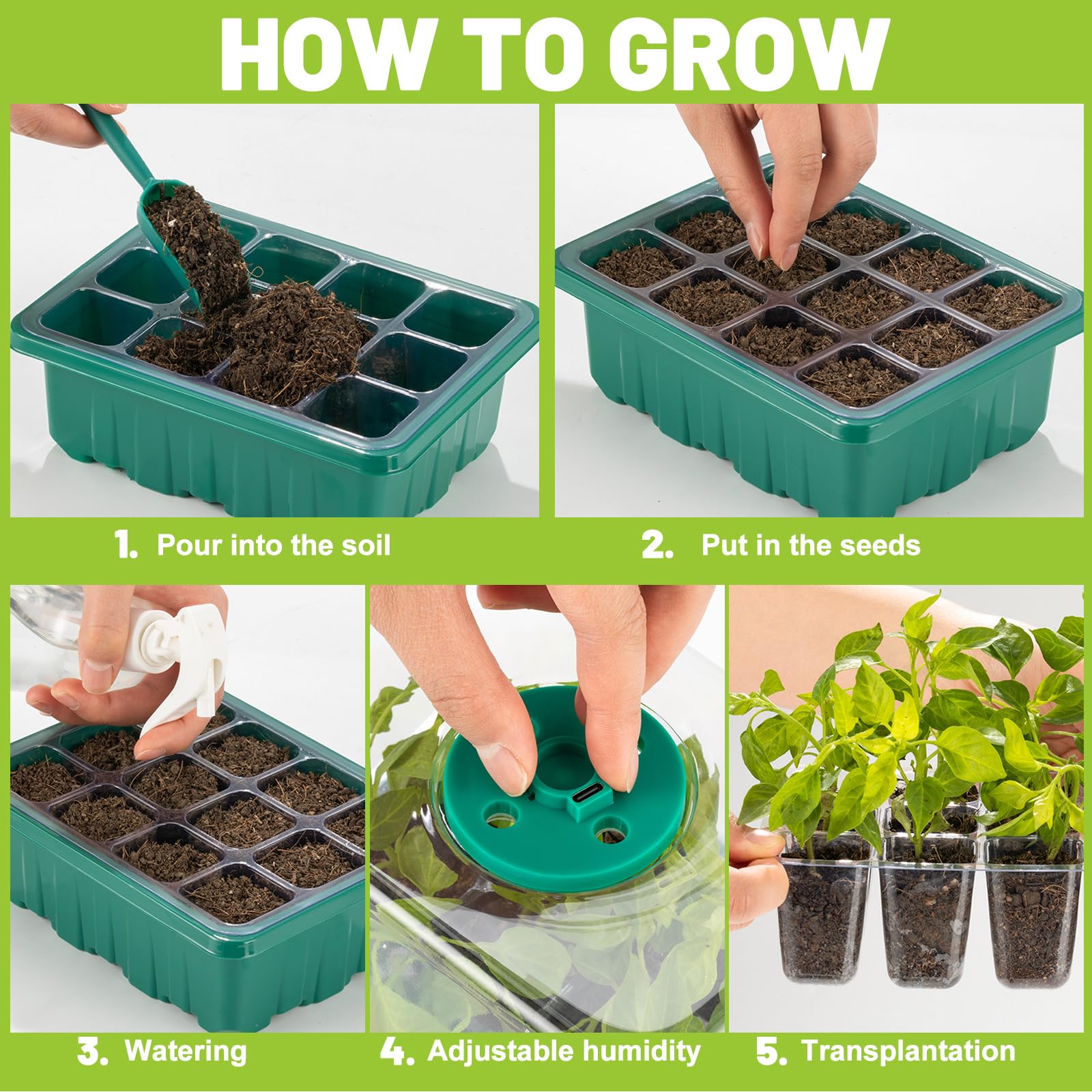 Top【選抜株】23507ムーンライト ジェニーHyb 105個 プラグトレー苗