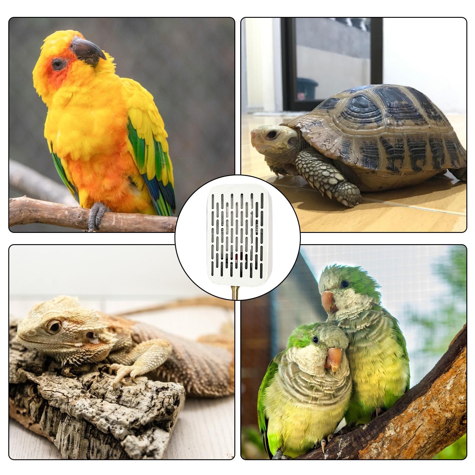 Vogelheizung, Vogelheizung für draußen im Winter, sichere Vogelkäfigheizung mit tragbarem Design, Wärmelampe für Papageienkäfig, langlebiger Käfig-Papageienwärmer für den Winter, hängende Käfigheizung