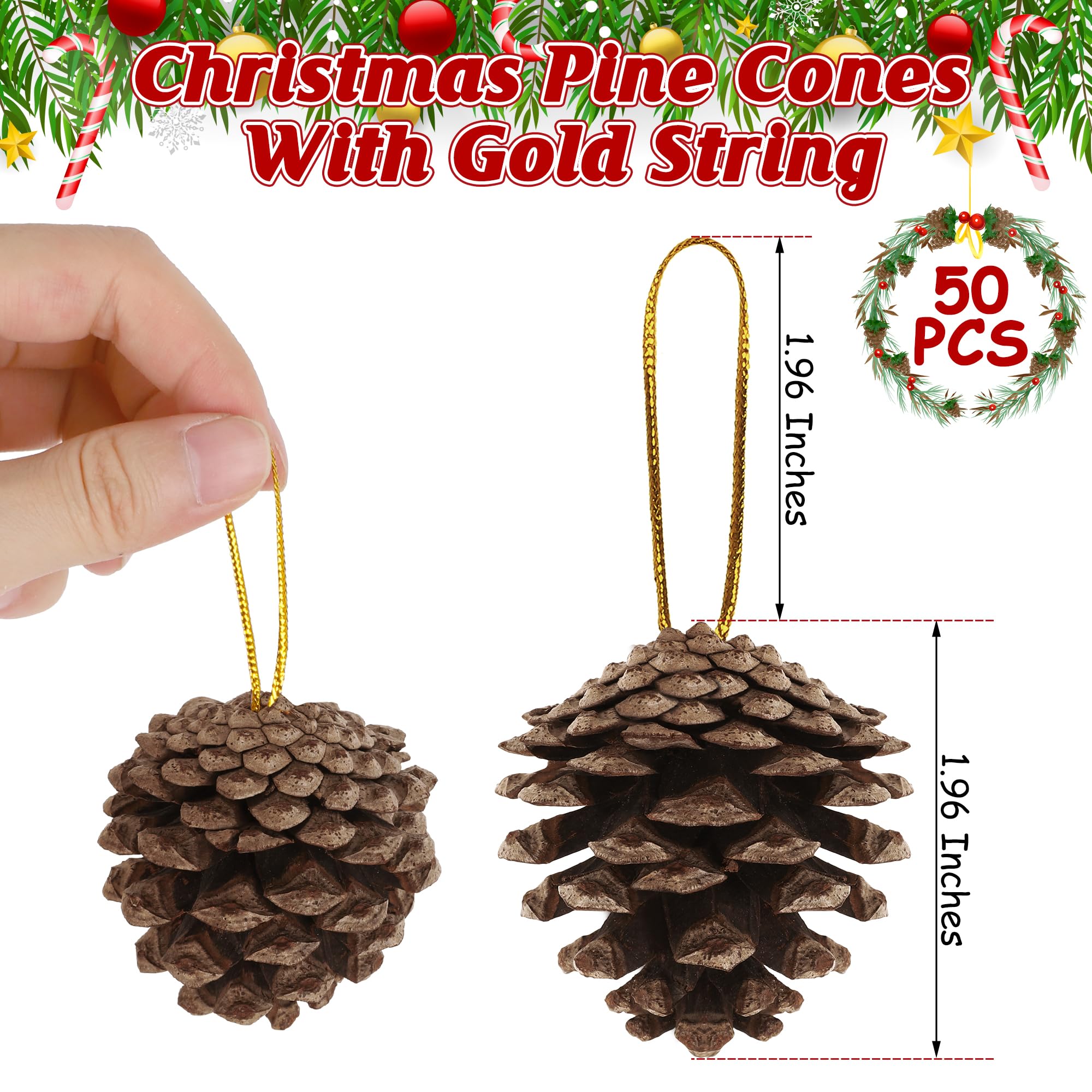 Helimoto Confezione da 50 pigne naturali, 5,5 cm, pigne naturali per artigianato, pigne rustiche con corda dorata, per decorazioni invernali fai da te, albero di Natale, decorazioni da tavola