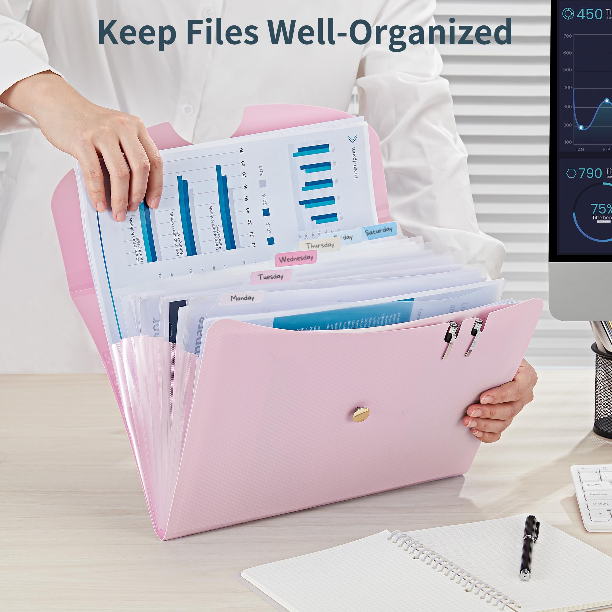 JARLINK Organizador de archivos, carpeta de archivos expansible, color rosa macarrón