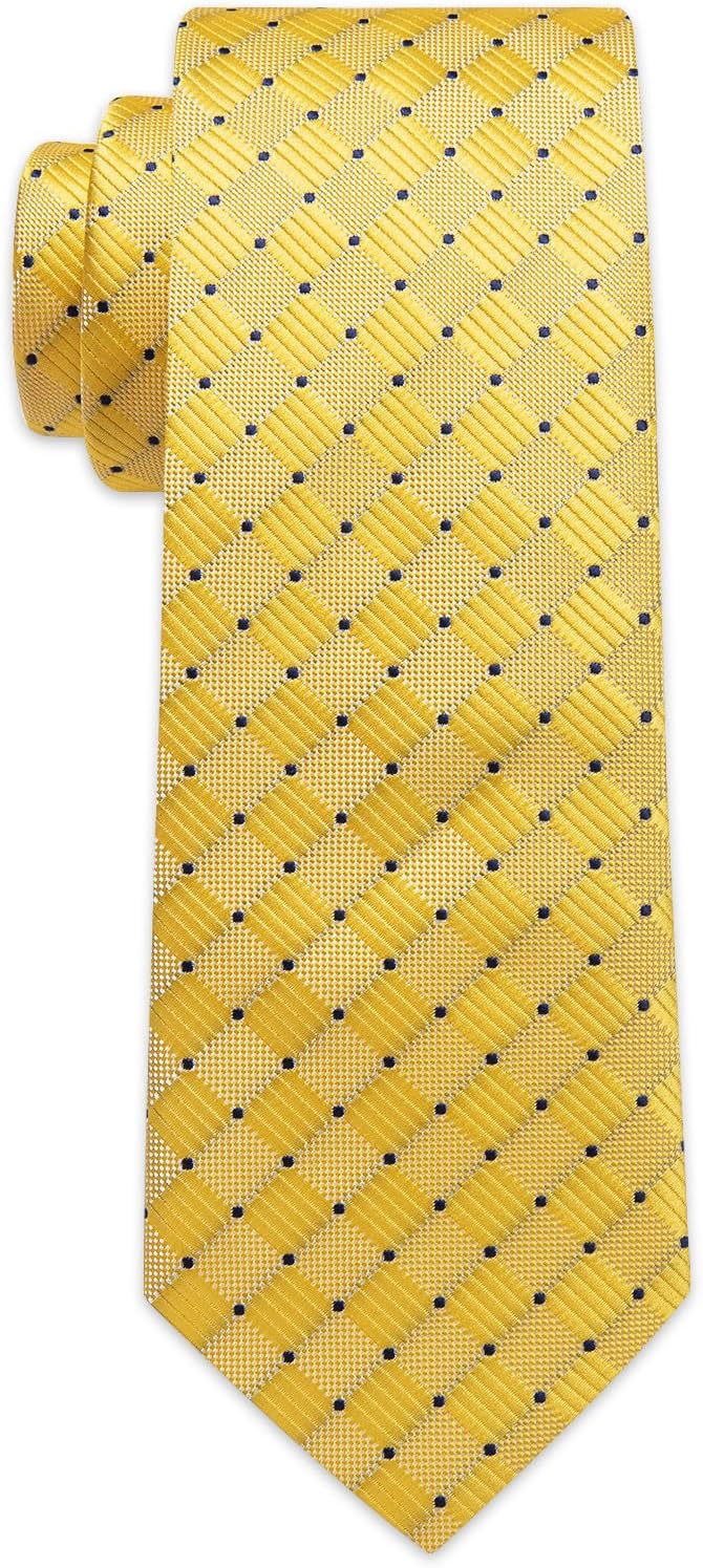 Silk Ties for Men Paisley Floral Striped Necktie and Pocket Square Cufflinks Tie Clip Set 4PC - Image 5