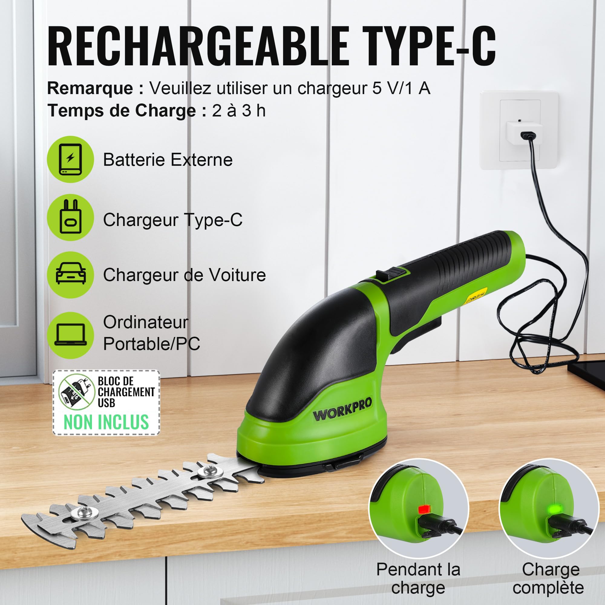 WORKPRO Cisaille Sculpte-Haie et Taille-Herbes sans Fil 3,6V