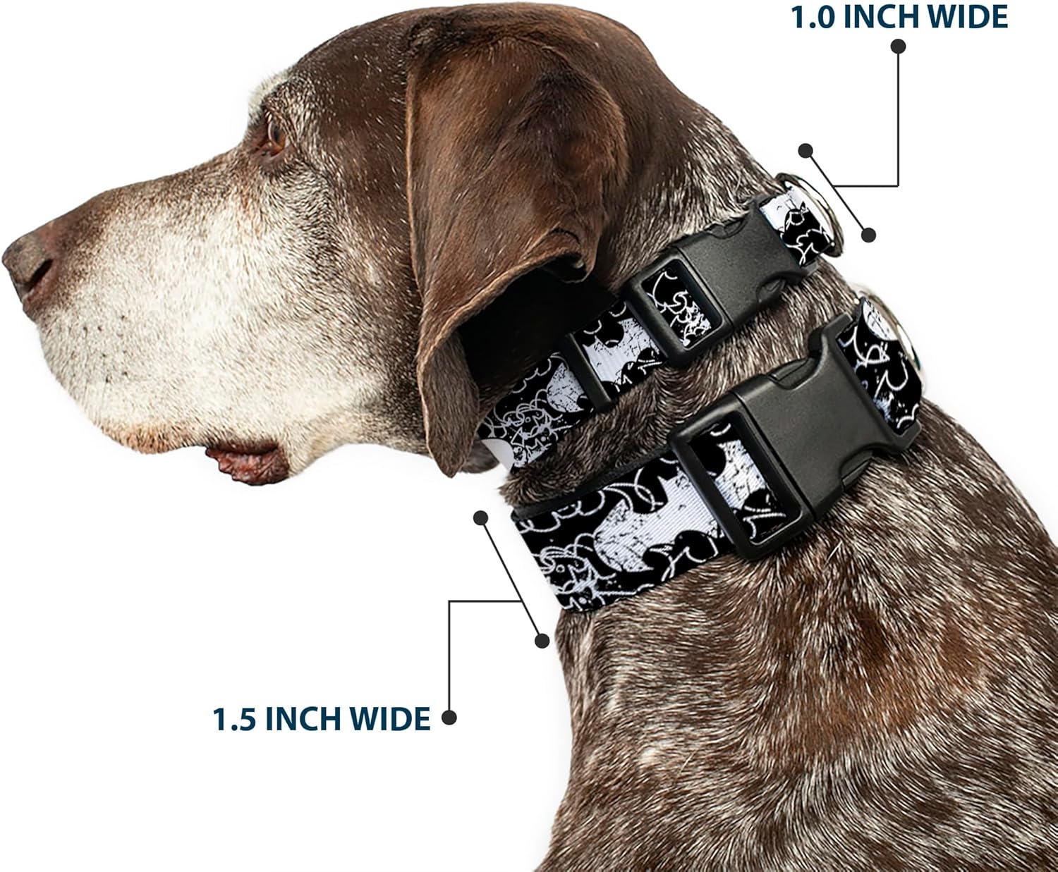 Buckle-Down Plastic Clip Collar - Batman Outlines Black/White - 1.5" Wide - Fits 16-23" Neck - Medium