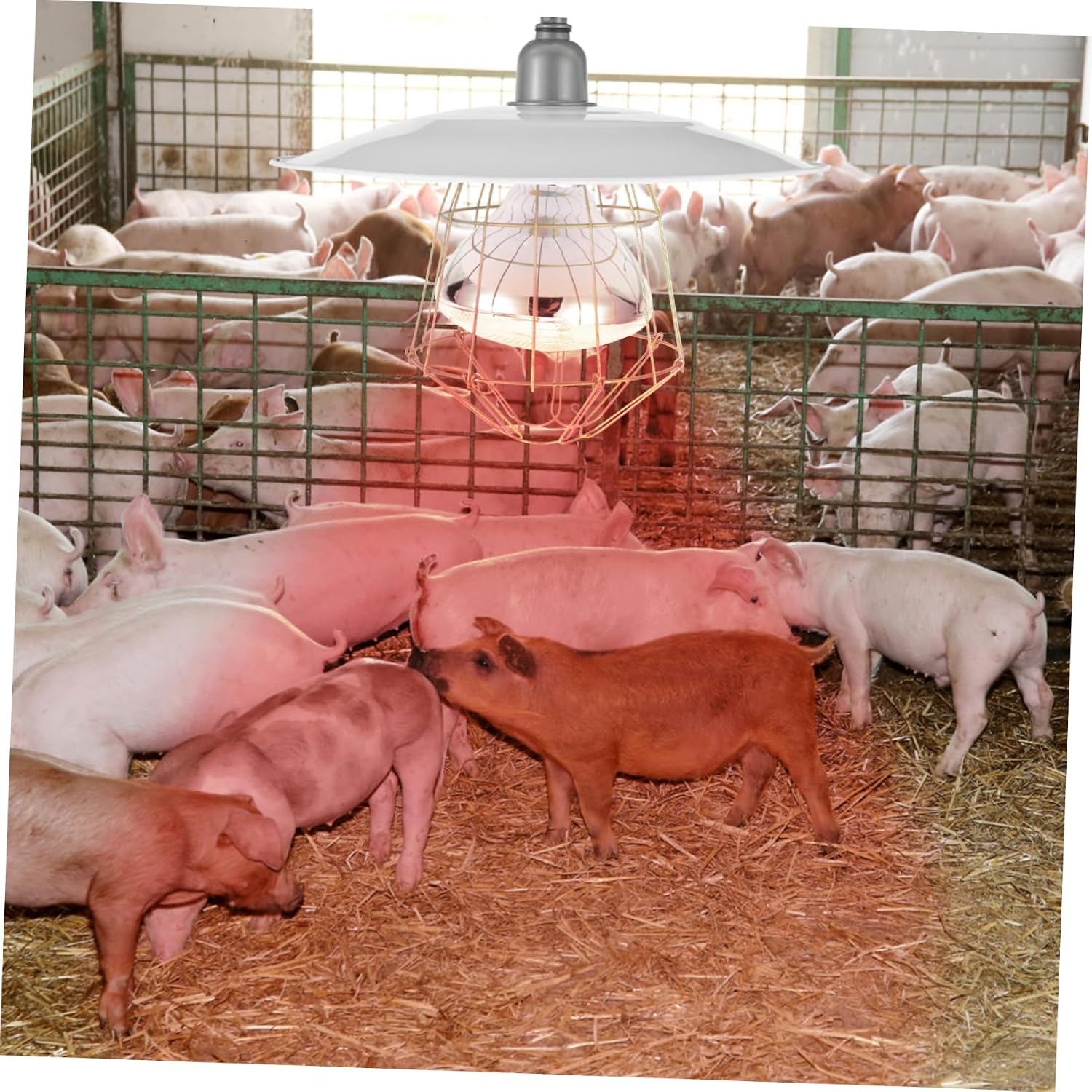 BESPORTBLE Reptile Warm Keep Lamp Pet Warming Light Breeding Heating Lamp Poultry Heat Preservation