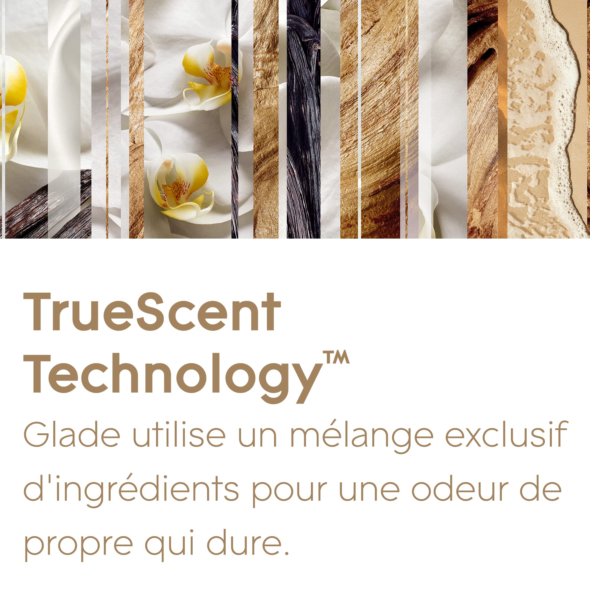 Glade Sense & Spray Recharges Diffuseur à Détection de Mouvement - Infusé Aux Huiles Essentielles - Jusqu'à 2 Mois de Parfum - Romantic Vanilla Blossom - 3 Recharges