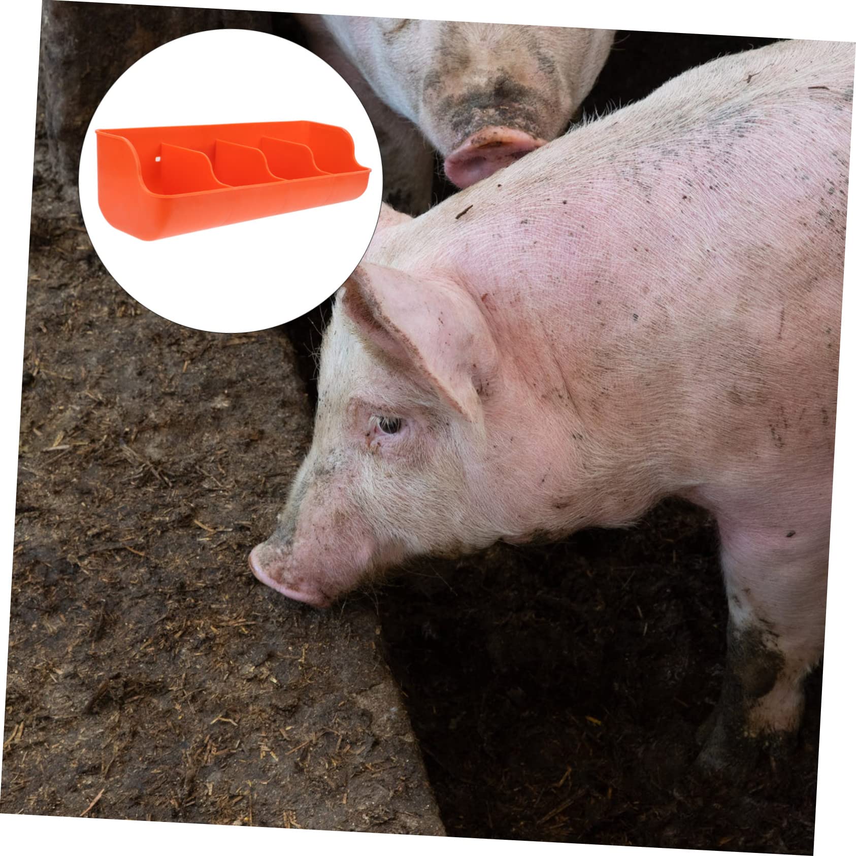 Trogolo Suinetti Mangiatoia Per Capre Mangiatoie Per Recinti Per Bestiame Alimentatore Di Panneggio Scatola Di Mattoni Leccare Per Bovini Ovini Distributore Pp Maialino