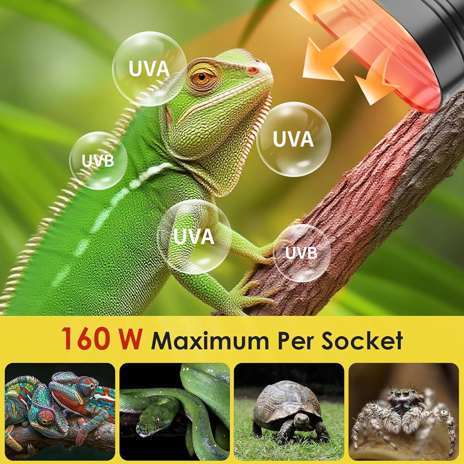 11inch Dual Reptile Heat Light Fixture with Thermostat and Timer, Max 150W Dome Terrarium UVB Reptile Light with Switches, Bearded Dragon Light Fixture for Turtle Tank,Snake and Hermit Crab