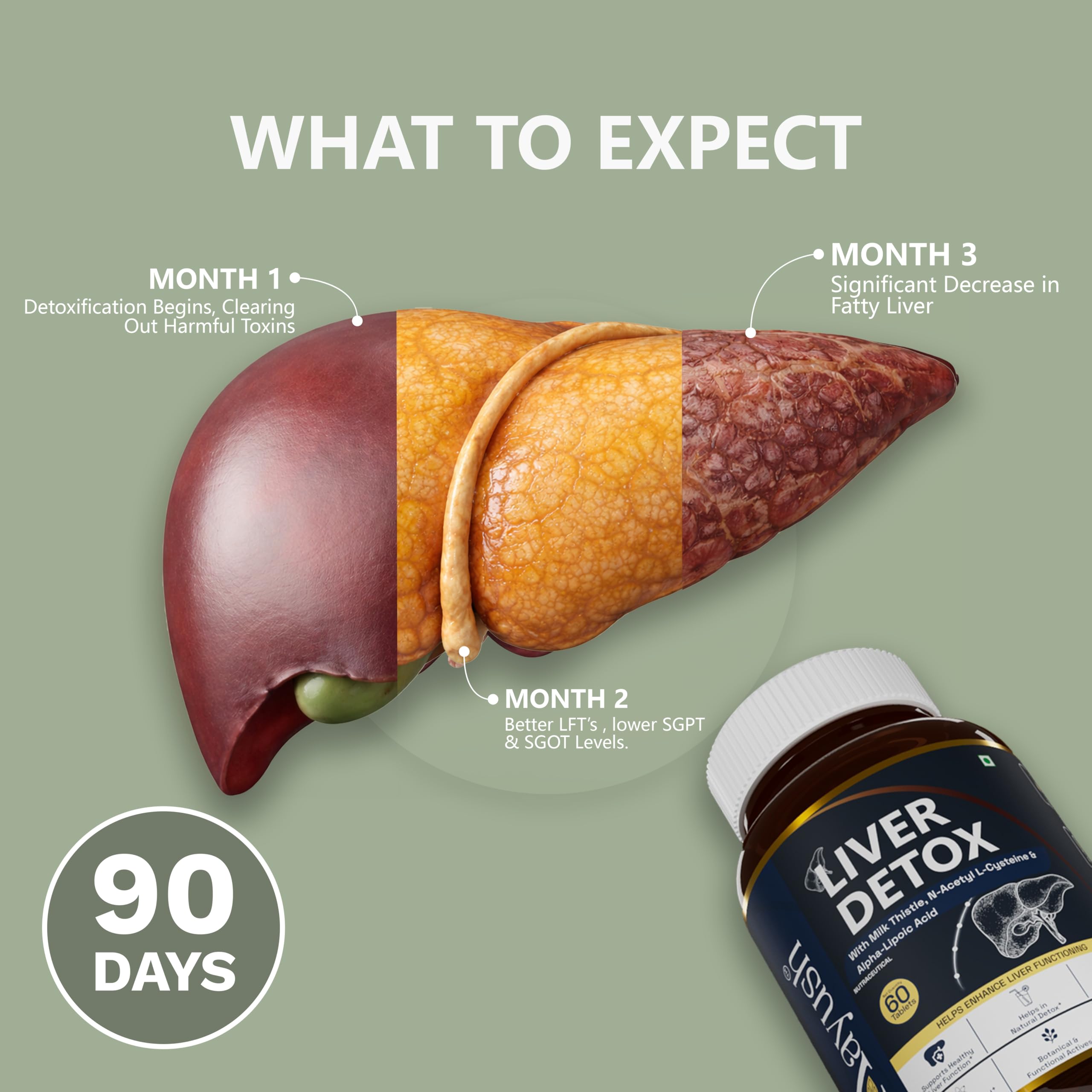 should you take l carnitine before or after a workout Aayush Wellness Liver Support Tablets with Milk Thistle NAC Alpha Lipoic  Acid Turmeric L‑Glutamine L‑Carnitine for Liver Detox & Cellular Repair —  60 Tablets : Amazon.in: Health & Personal Care