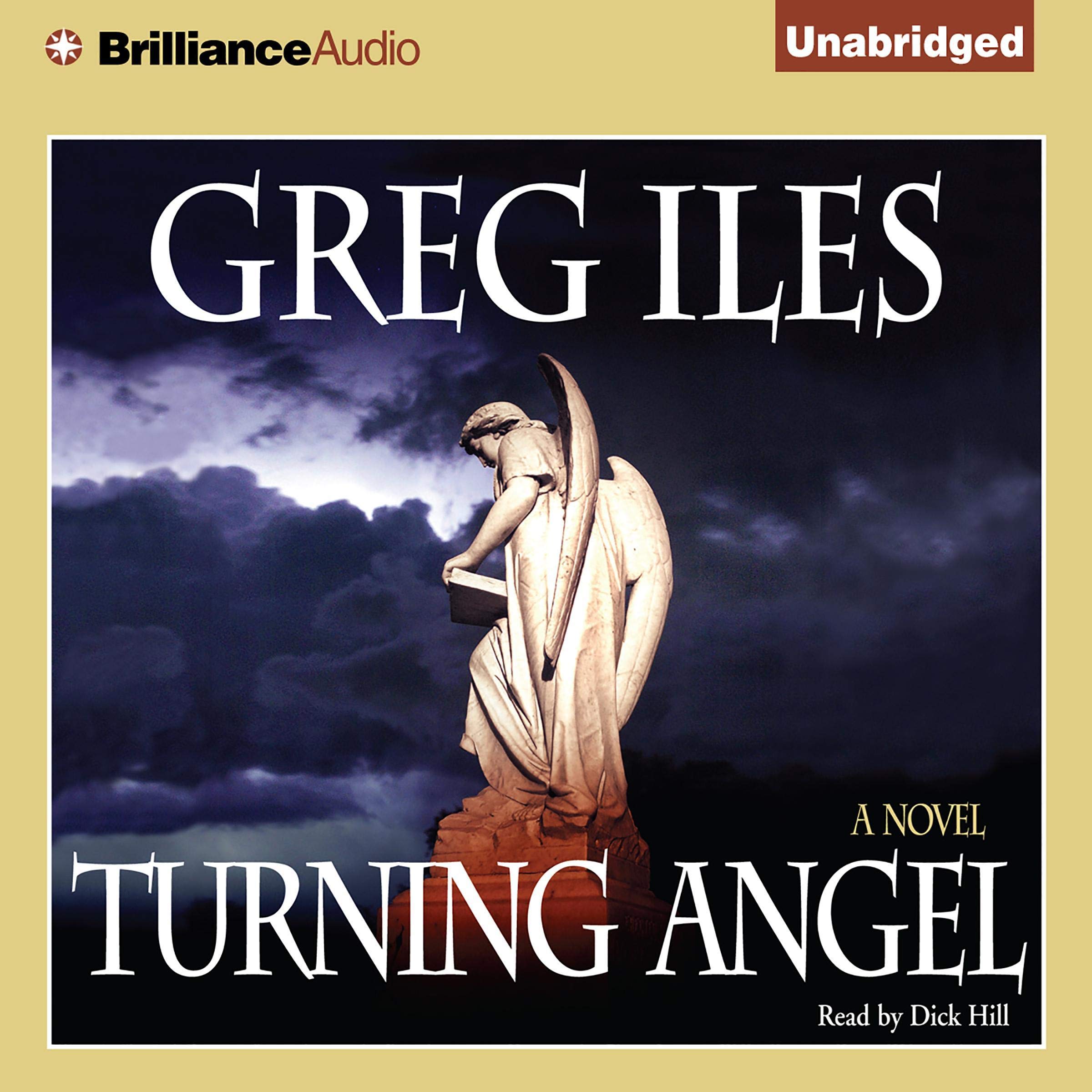 Cover art for Turning Angel