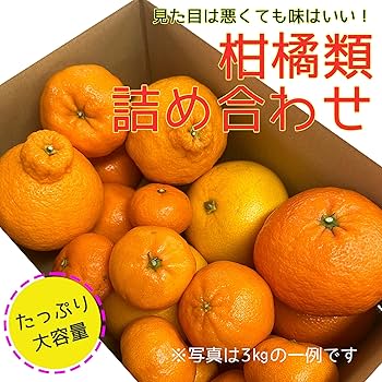 柑橘(みかん・デコポンなど)コメント用 2月下旬の柑橘】「デコポン」 の通販｜「tuchinokoe」おすすめの