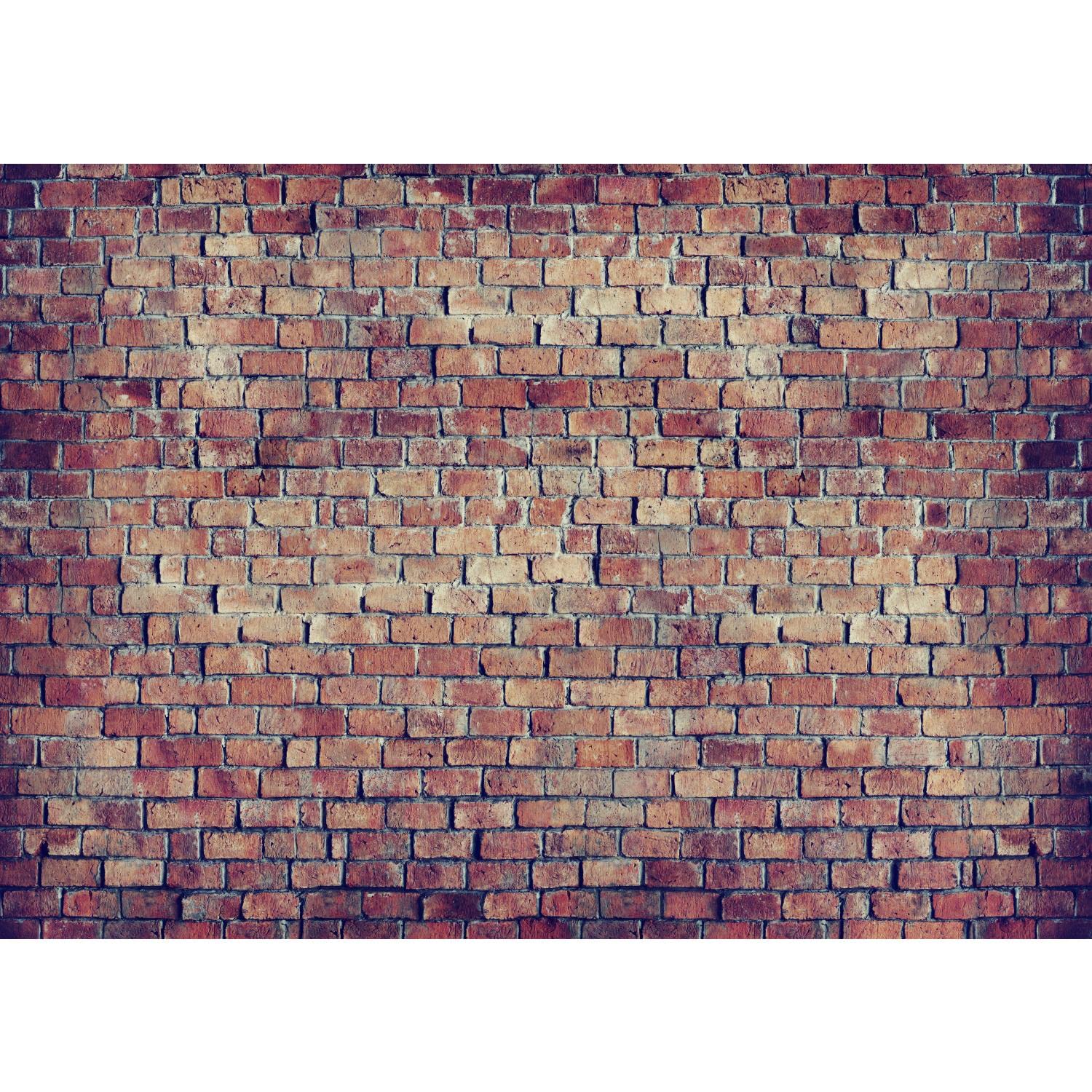 Runa Art Papier peint intissé Mural 308 x 220 cm Mur de pierre effet 3D Moderne Toison Salon Chambre à Coucher Salle - Tableaux Muraux Tapisserie Runa Art Papier peint intissé Mural 308 x 220 cm Mur de pierre effet 3D Moderne Toison Salon Chambre à Coucher Salle - Tableaux Muraux Tapisserie