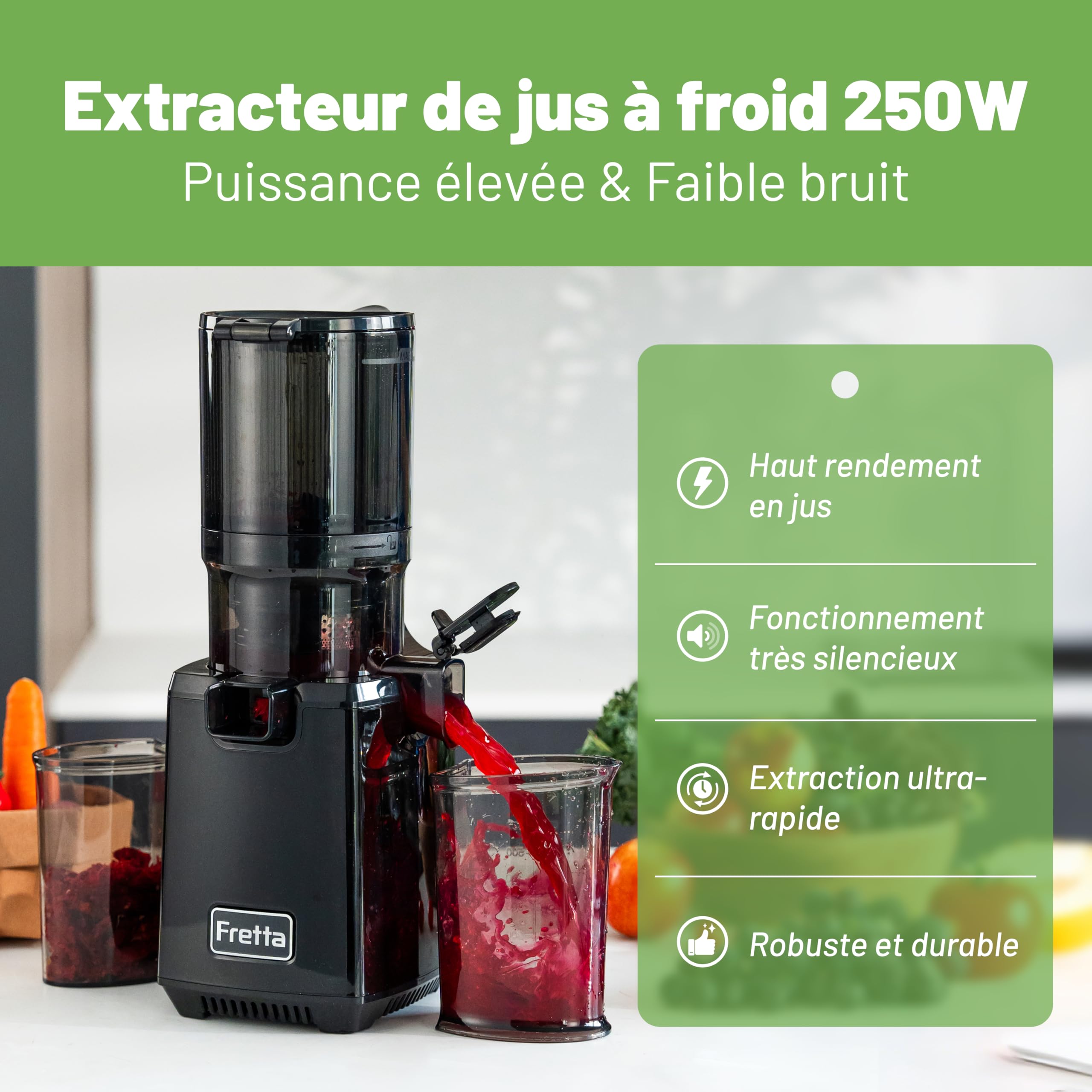 Fretta Extracteur de Jus à Mastication Lente 250W, Grande Goulotte 135mm, Sans BPA, Noir