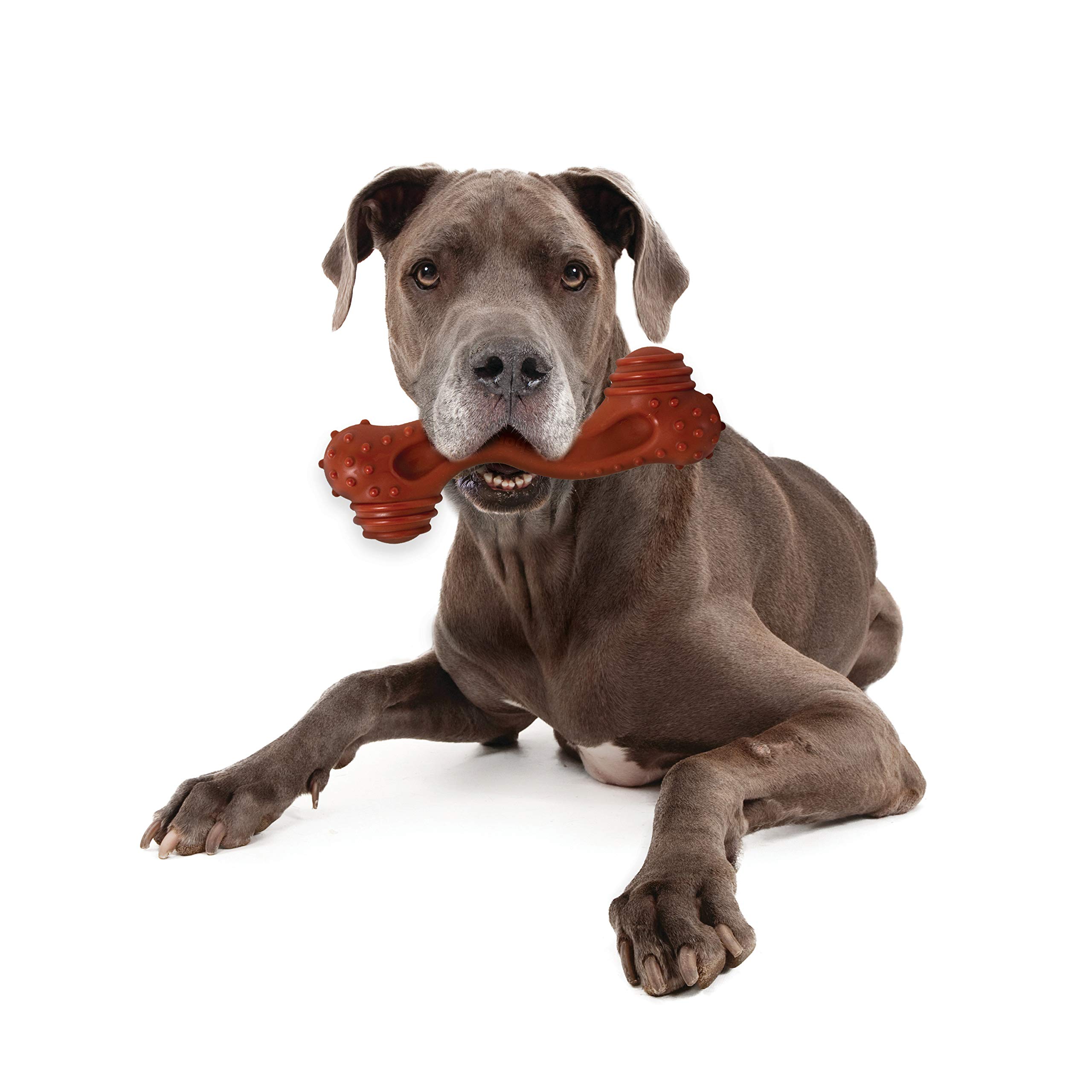 Nylabone Power Chew Toy Bundle – Hundespielzeug für Aggressive Kauer, Specksuppe (ND1008)