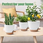 3 Pack Pots de plantes Intérieur 10/9/8 pouce Planters d'auto-arrosage pour les plantes Intérieures Pots à fleurs pour les végétaux Intérieurs avec trous de drainage et Saucer pour jardin intérieur extérieur (blanc)