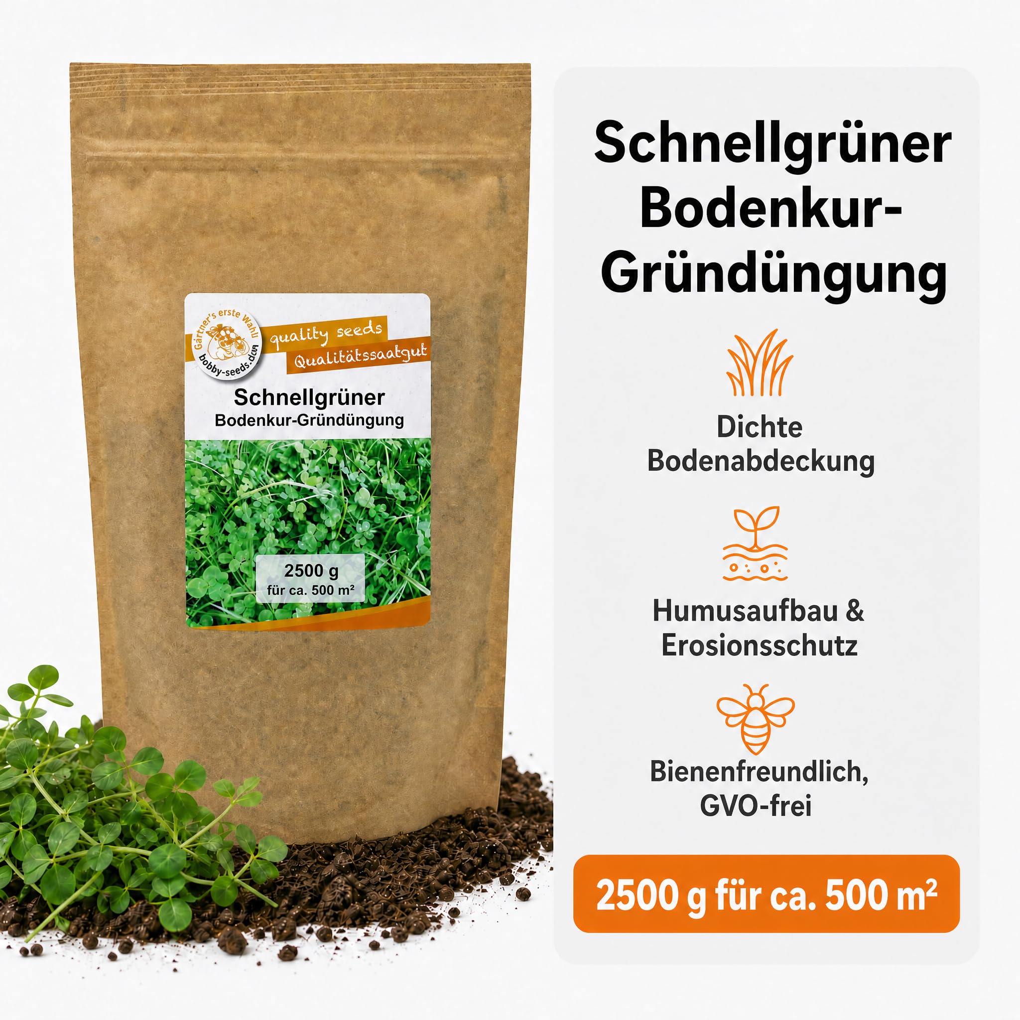 Gärtner's erste Wahl! Bobby-Seeds Bodenkur Schnellgrüner 2500 g für ca. 500 m², Saatgut ohne Gentechnik zur Schnellbegrünung brachliegender Flächen, Klee & Phacelia & Weidelgras