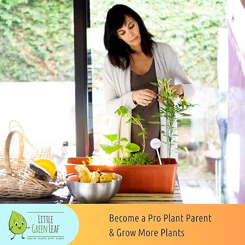 Miniatura 4 de LGL - Globos de riego para plantas, globos de riego automático. Insertos decorativos de riego automático hechos de vidrio duradero soplado a mano.