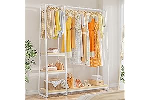 Raybee Tall 67' Clothing Rack for Hanging Clothes
