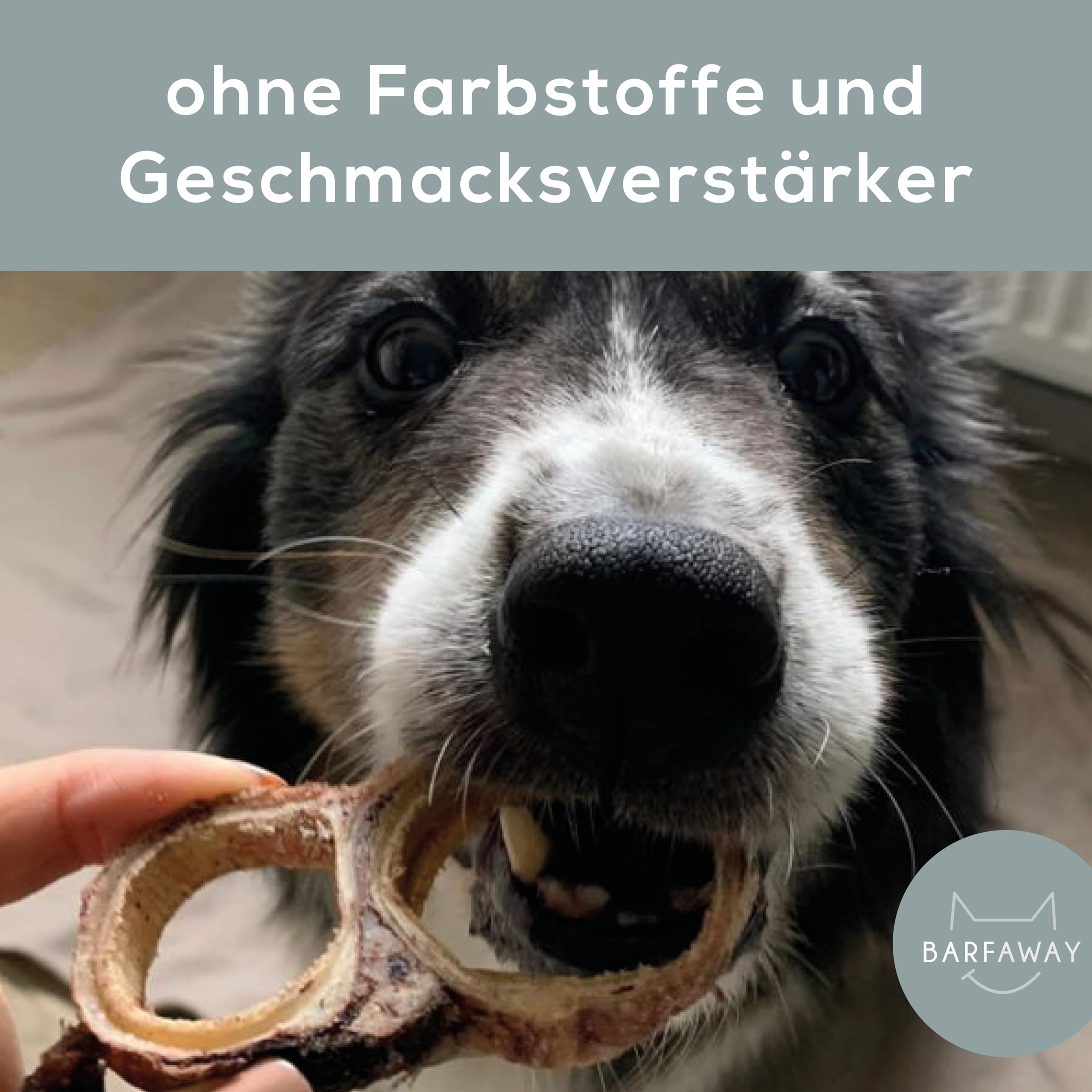 gefriergetrocknetes Hühnerbrustfilet, Premium Muskelfleisch, gesunde Hundeleckerlies, getreidefrei, zuckerfrei, 100% natürlich ohne Zusätze, Deutsche Herstellung, 500 g