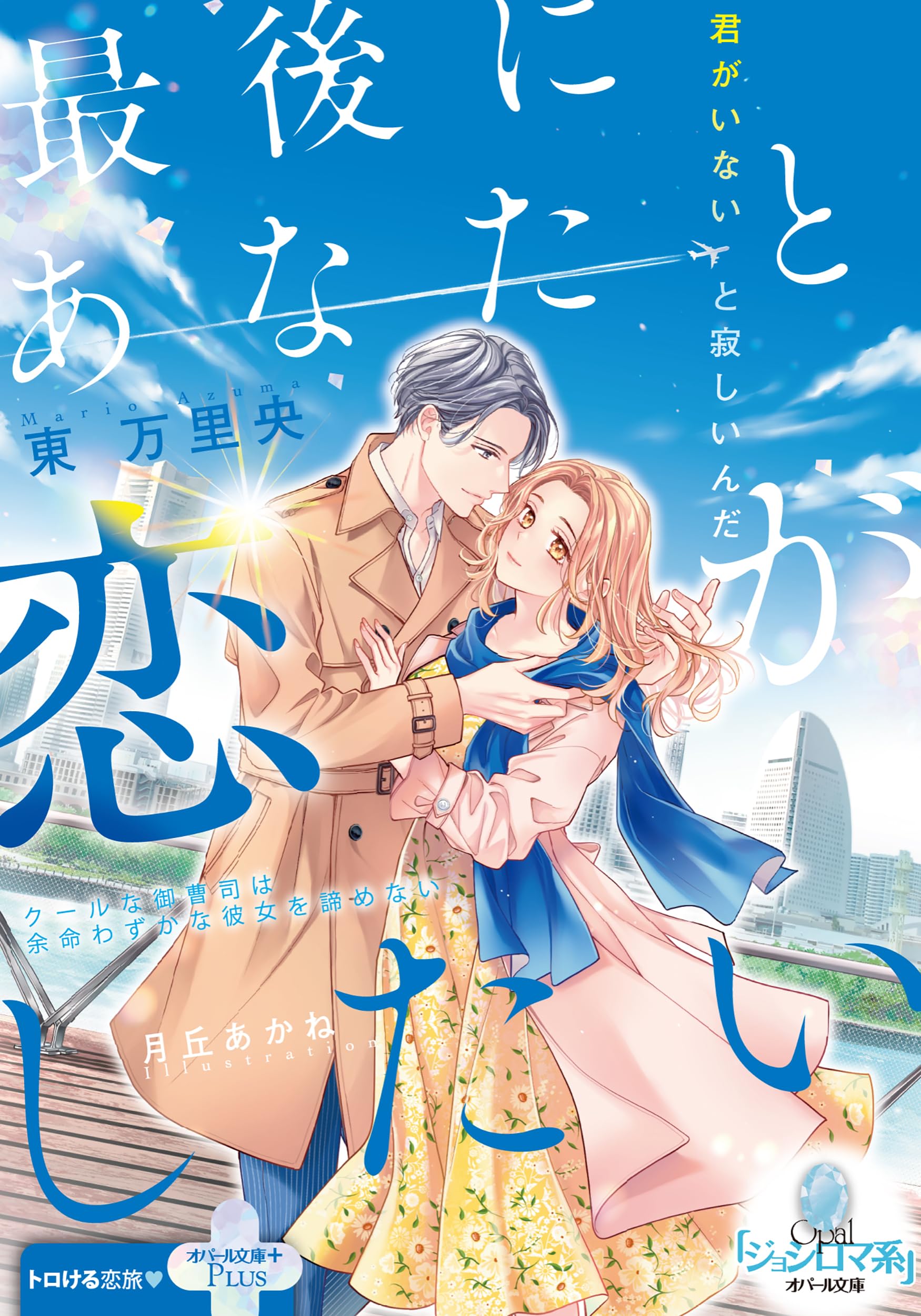 小説　まとめ　恋愛　ラブロマンス　文庫　約200冊　エタニティ　オパール　など 小説 まとめ 恋愛 ラブロマンス 文庫 約200冊 エタニティ