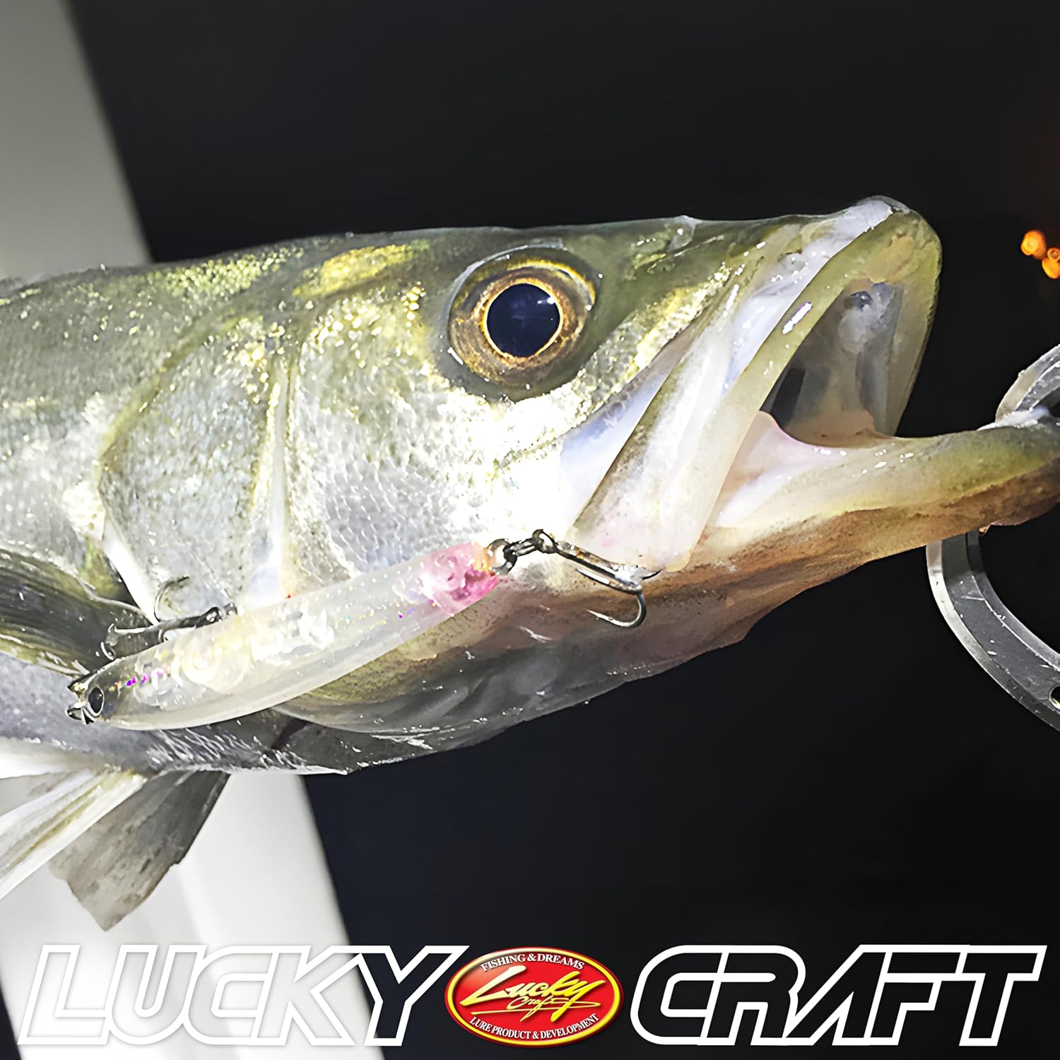 Lucky Craft Minnow Wonder 60 ESG Pink Back Lure