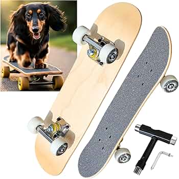 Amazon | 【本格的な スケボー】 完成品 「キッズ ～ 大人」 様々な