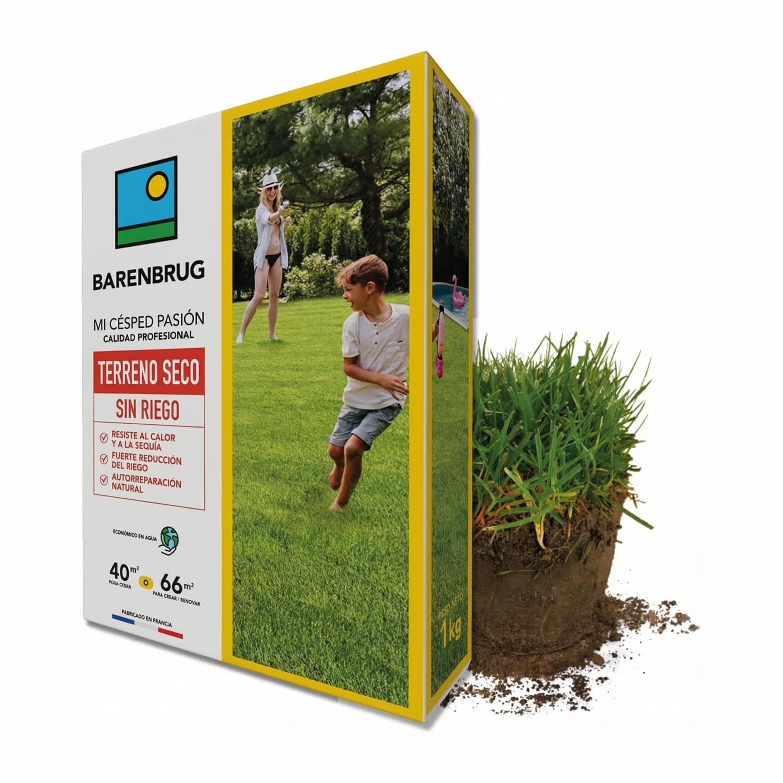 Barenbrug - Césped Terrenos Secos sin riego - Resistente al Calor y a la Sequía - Gran Reducción del Riego - Autorreparación Natural - Ahorro de Agua - Fabricado en Francia - 1 Kg