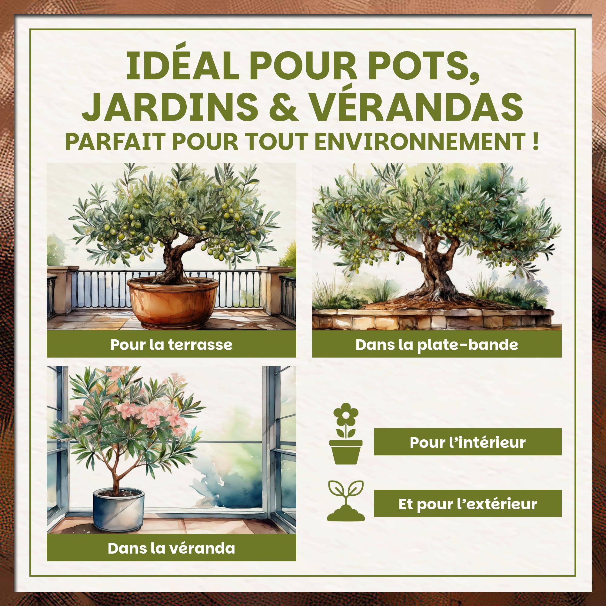Green Home Terre pour Olivier & Laurier-Rose 36L – Terreau Premium pour Plantes Méditerranéennes | Engrais à Libération Lente | Perlite, Fibre de Coco & Humus | pour Pots, Bacs & Jardin, pH 5.9