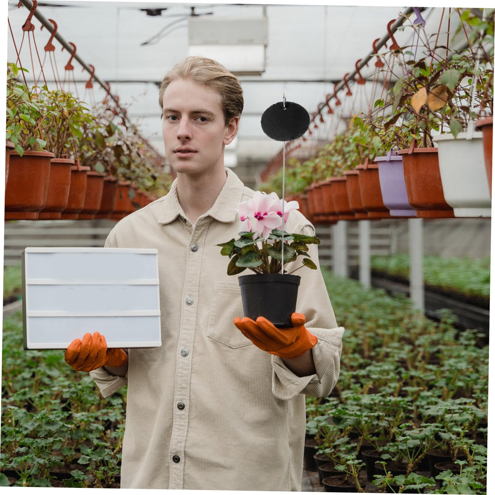 BESPORTBLE 10stücke Pflanzenschilder Aus Wiederverwendbare Gartenetiketten Für Blumenbeete Töpfe Und Gewächshäuser Wetterfest Und Leicht Für Drinnen Und Draußen