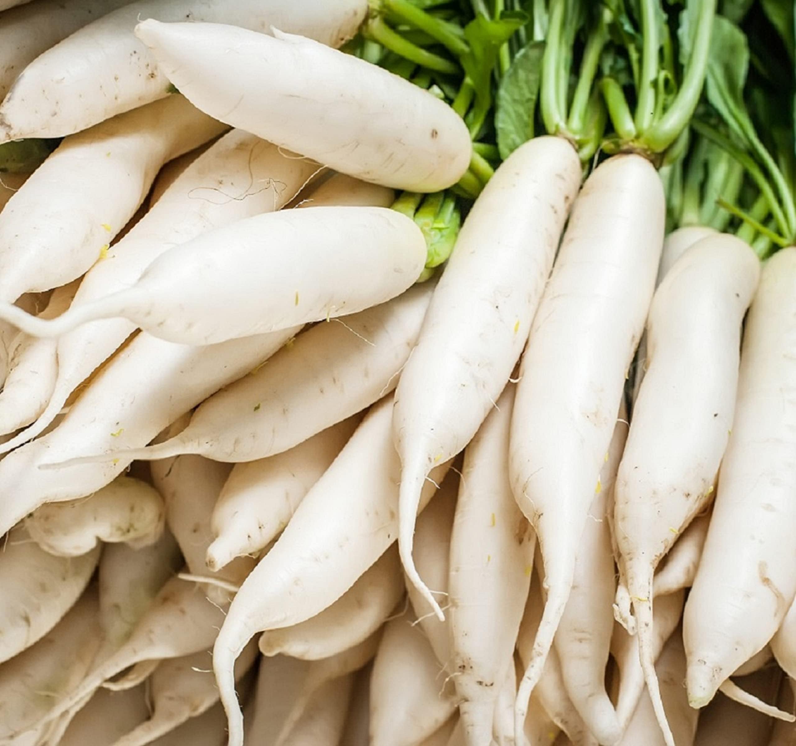 Japanese Daikon Radish Seeds for Planting - 100 Heirloom Non GMO Seeds - Full Planting Instructions to Plant & Grow a Home Vegetable Garden - Great Gardening Gift, 2 Packets