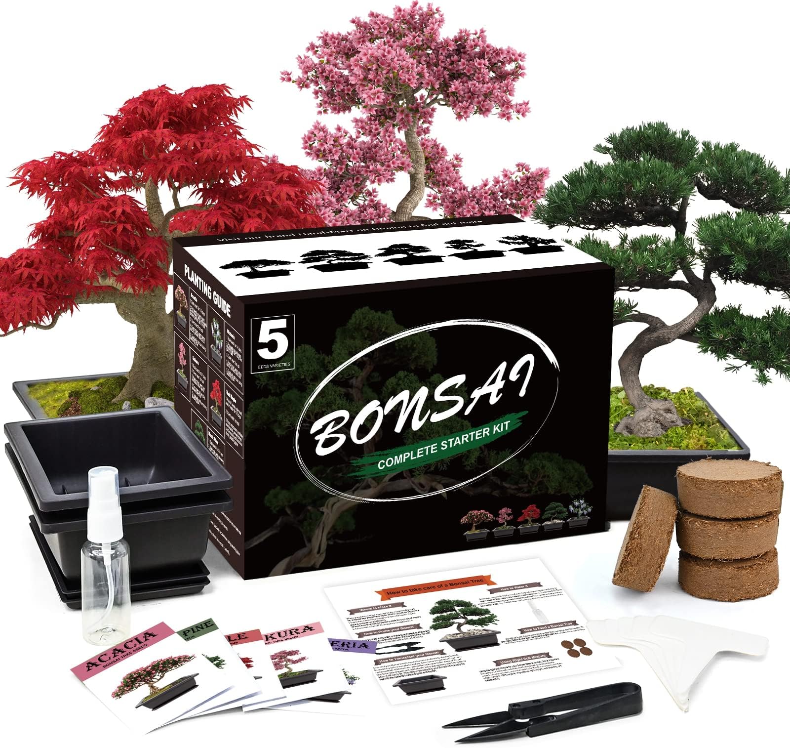 Bonsai Seeds Grow Starter Kit