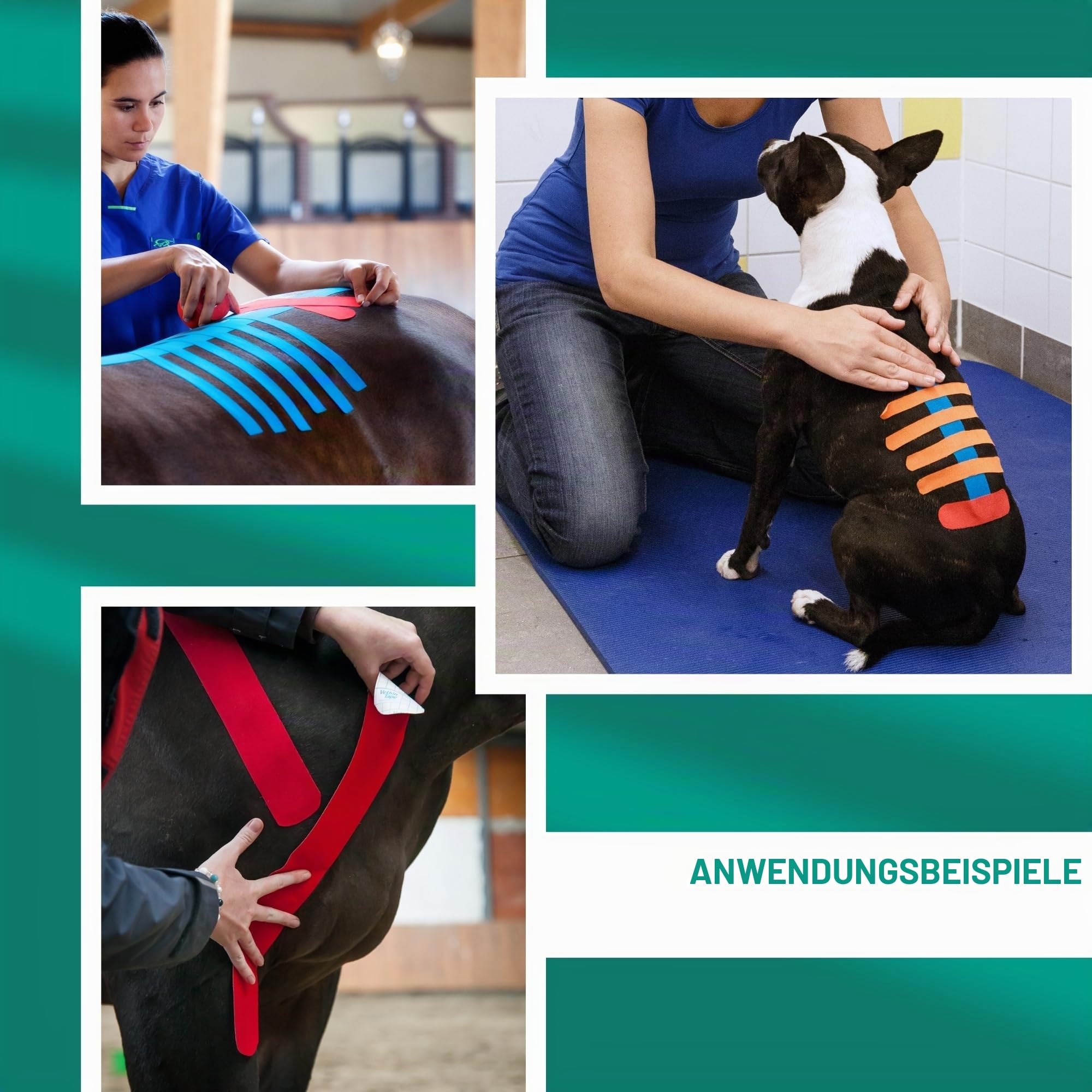 VETKIN VetkinTape Einführungsangebot | Kinesiologie Tape für Pferde und Hunde | Buch zum Taping von Hunde | Tierärztliches Kinesiotapes in 3 Größen (3cm, 6cm & 10cm) | Mit Premium-Schere