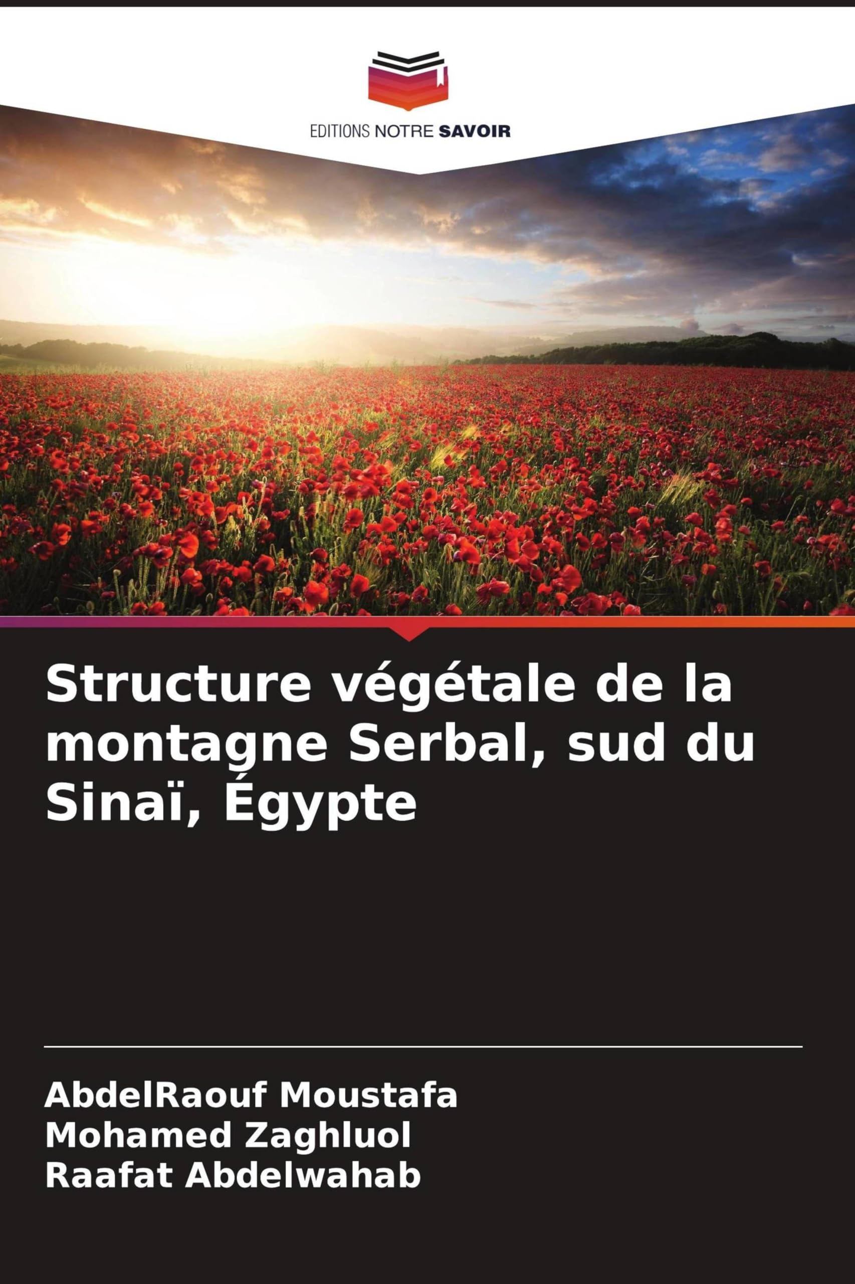 Structure végétale de la montagne Serbal, sud du Sinaï, Égypte