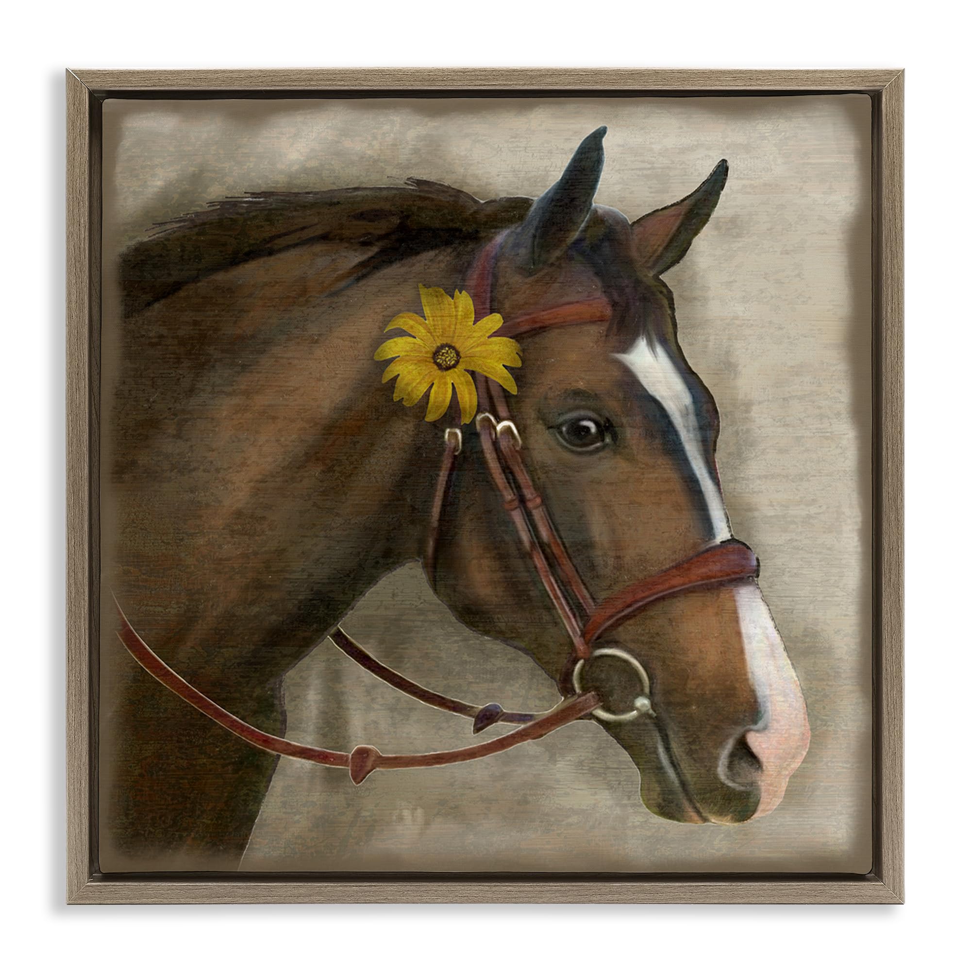 Barnyard Horse with Daisy Farmhouse, 24 x 24 Inch Canvas in Floater Frame