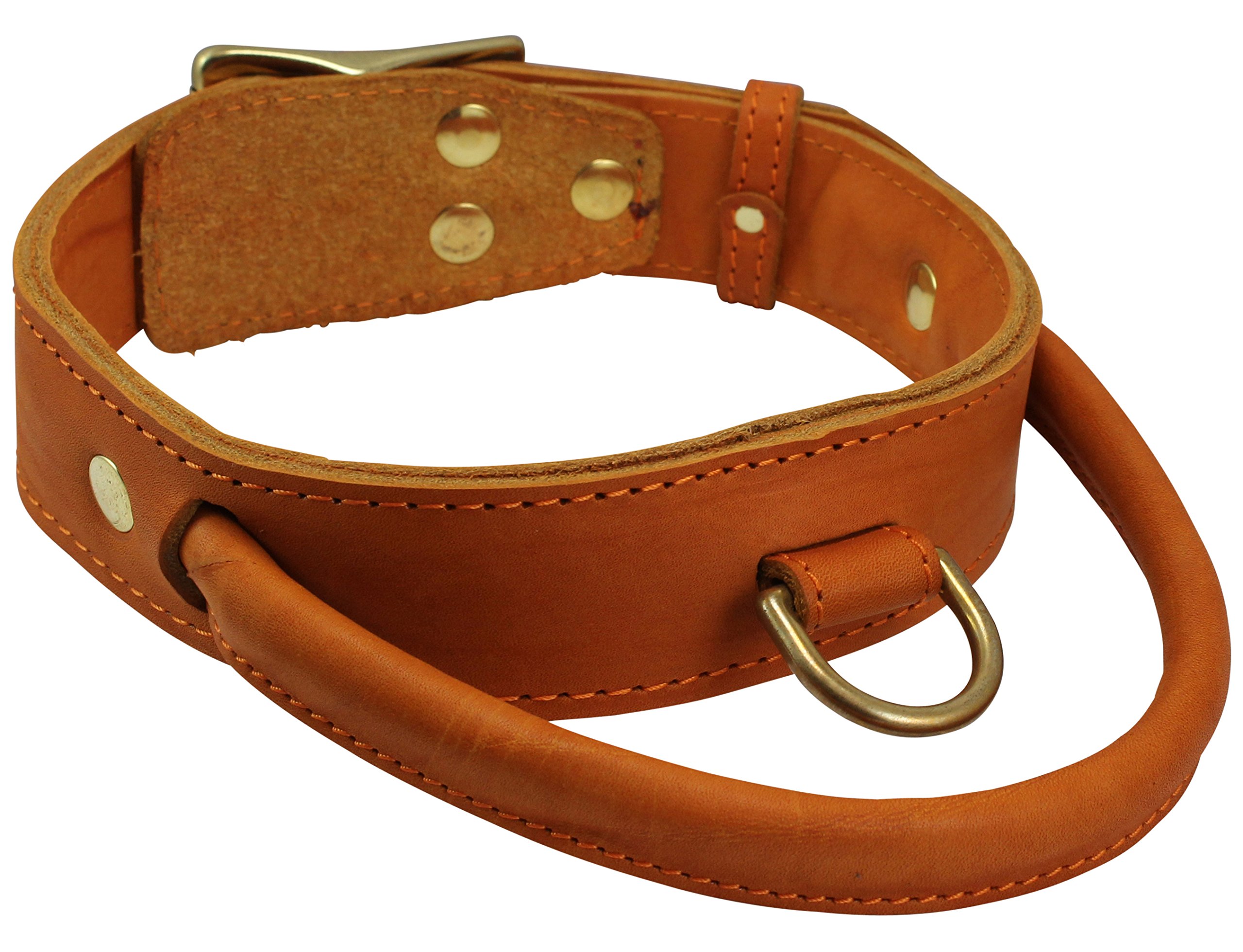 Amazon.com : Genuine Leather Dog Collar, Rolled Leather Handle Tan