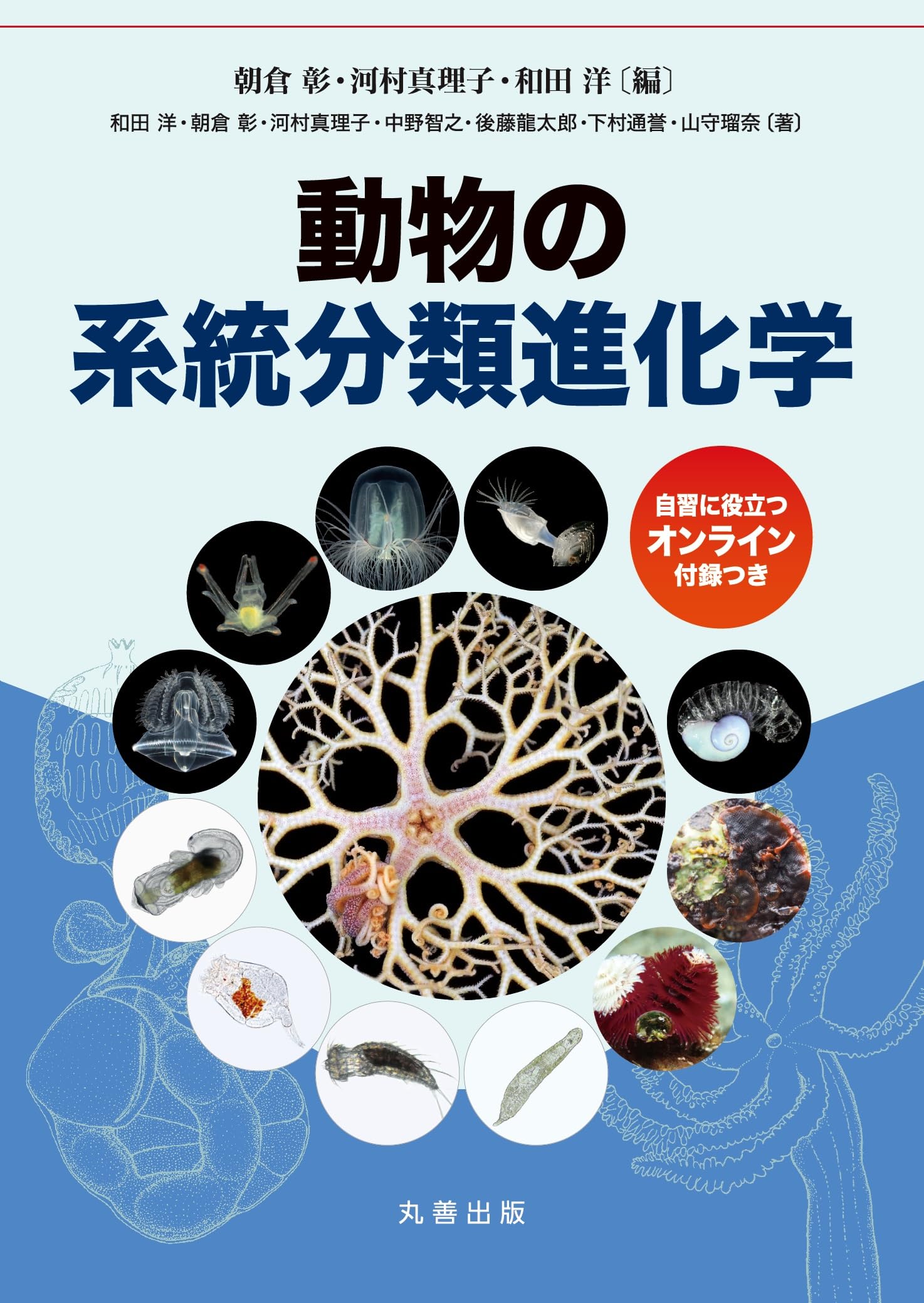 【中古本】動物系統分類学10上 中古本】動物系統分類学10上 中古本】動物系統分類学10上