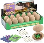 Bigear Dinosaure Oeufs Excavation Dig Kit: Panier de Pâques multicolore Stuffs avec 12 Dinosaures uniques - Sciences de l'excavation des oeufs de dinosaure STEM Jouet pour les garçons & Filles, Anniversaire/Cadeaux de Pâques/Cadeaux de classe