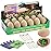 BIGEAR Easter Dinosaur Eggs Excavation Dig Kit - Dinosaur Toys for Kids - Break Open 12 Dinosaur Eggs and Discover 12 Cute Dinosaurs - Archaeology Preschool Science STEM Crafts Birthday Gifts for Boys