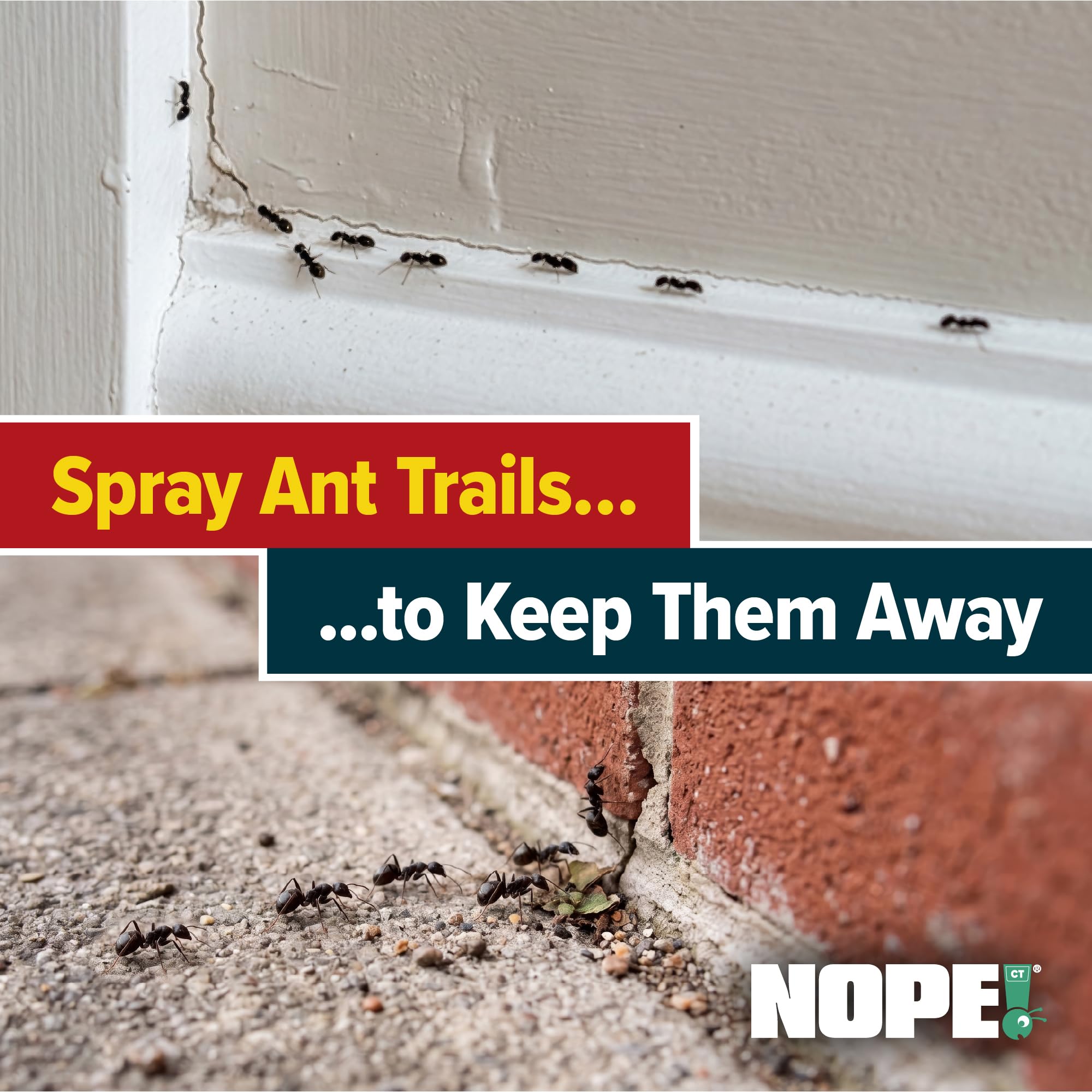 NOPE! CP Ant Killer Spray - 500ml - Spray Long-Lasting, Fast Acting for Indoor and Outdoor use — view 4