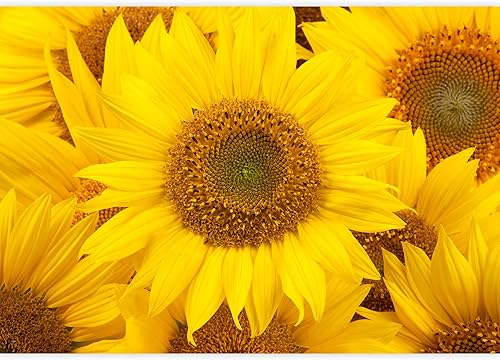 Miniatura 2 de Wall26 - La planta verde trepadora sobre una pared blanca crea un hermoso fondo - mural de pared removible  papel pintado grande autoadhesivo -,