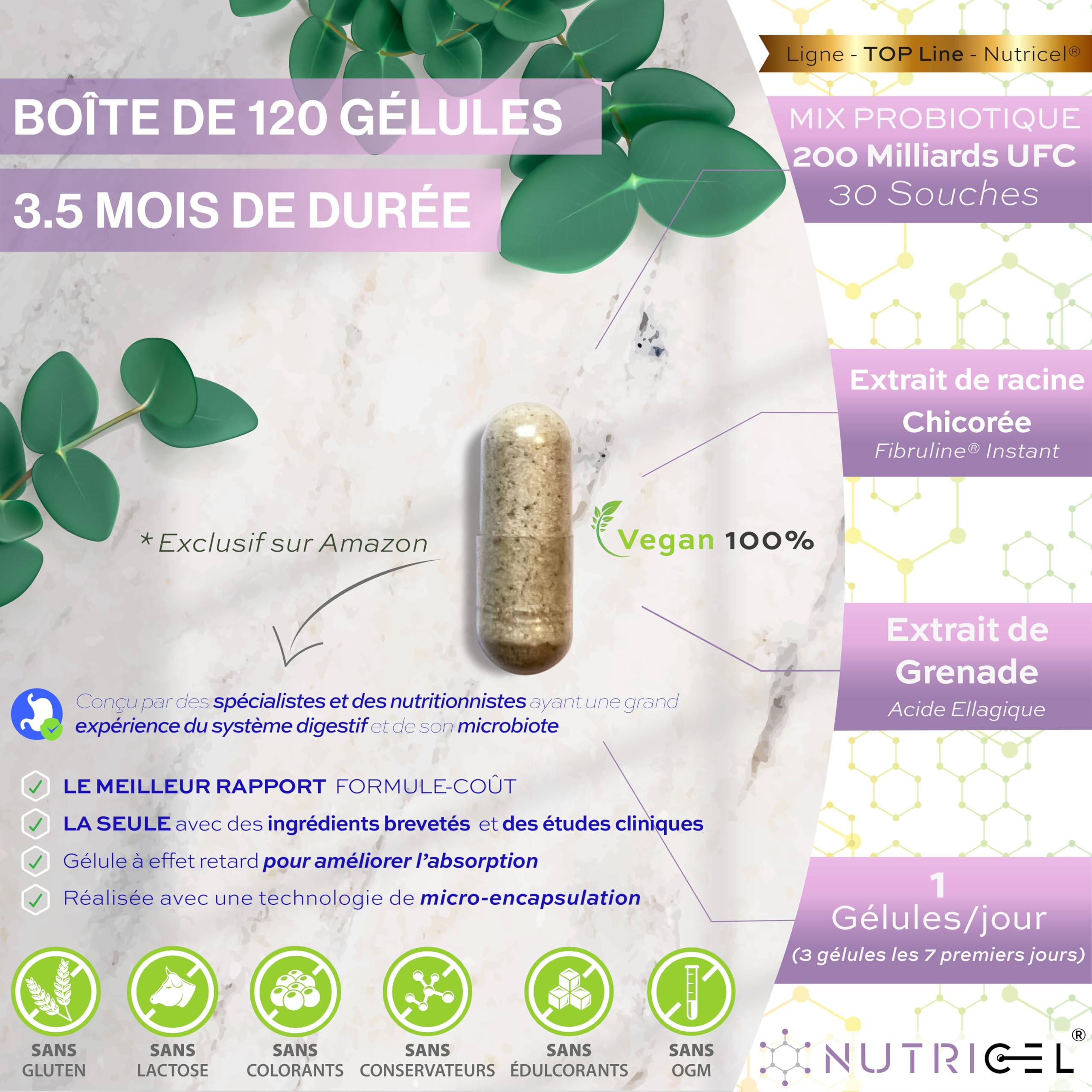 Probiotique flore intestinale - 200 Milliards UFC/Jour - 30 souches bactériennes, 120 Gélules Gastro-résistantes. Probiotiques et prebiotique avec Zinc, Inuline et Extrait de Grenade. 100% Végan