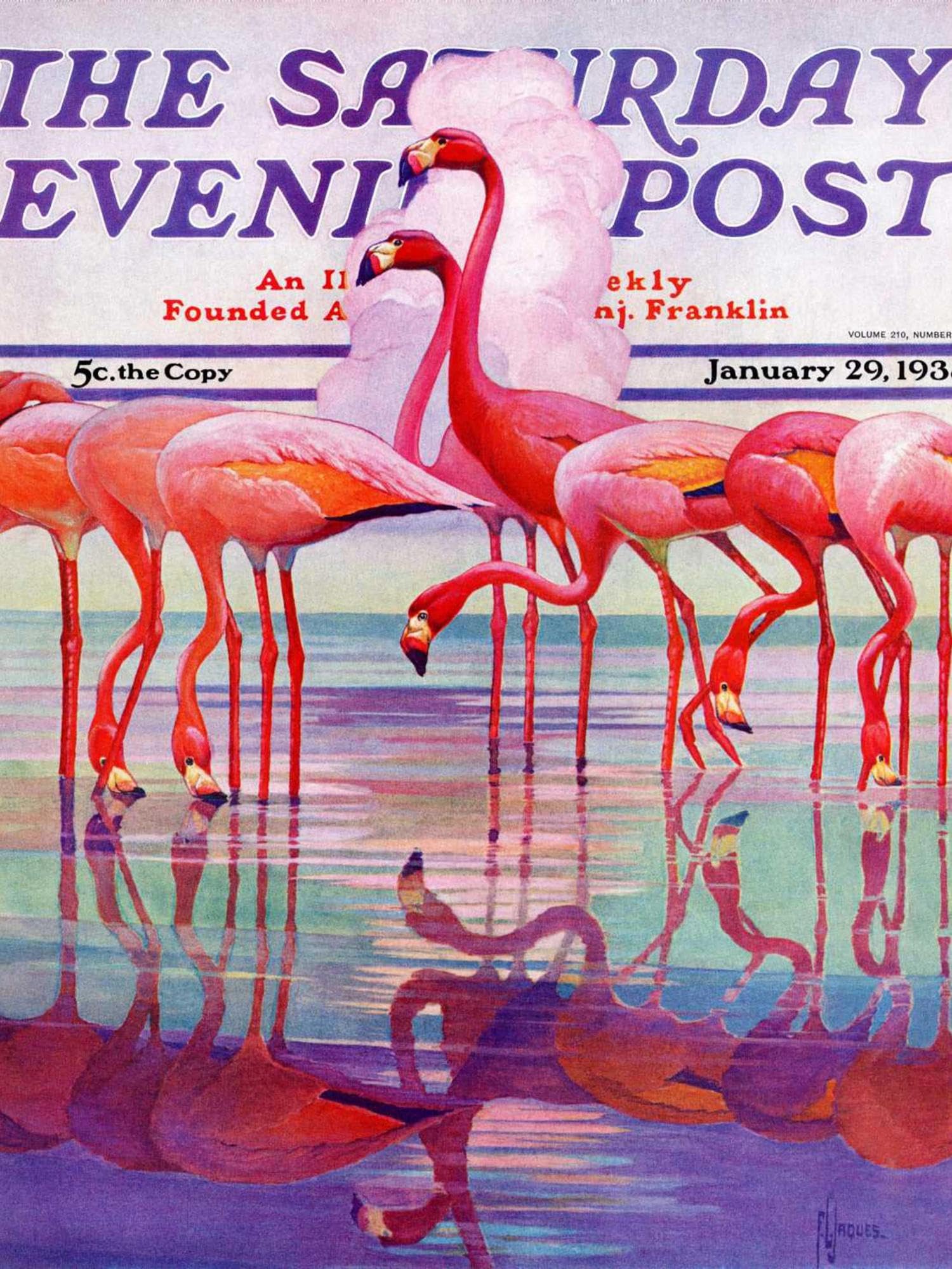 flamingo♡ Women's Pink Flamingo Quarter-zip Long-sleeve Shirt | Soneven