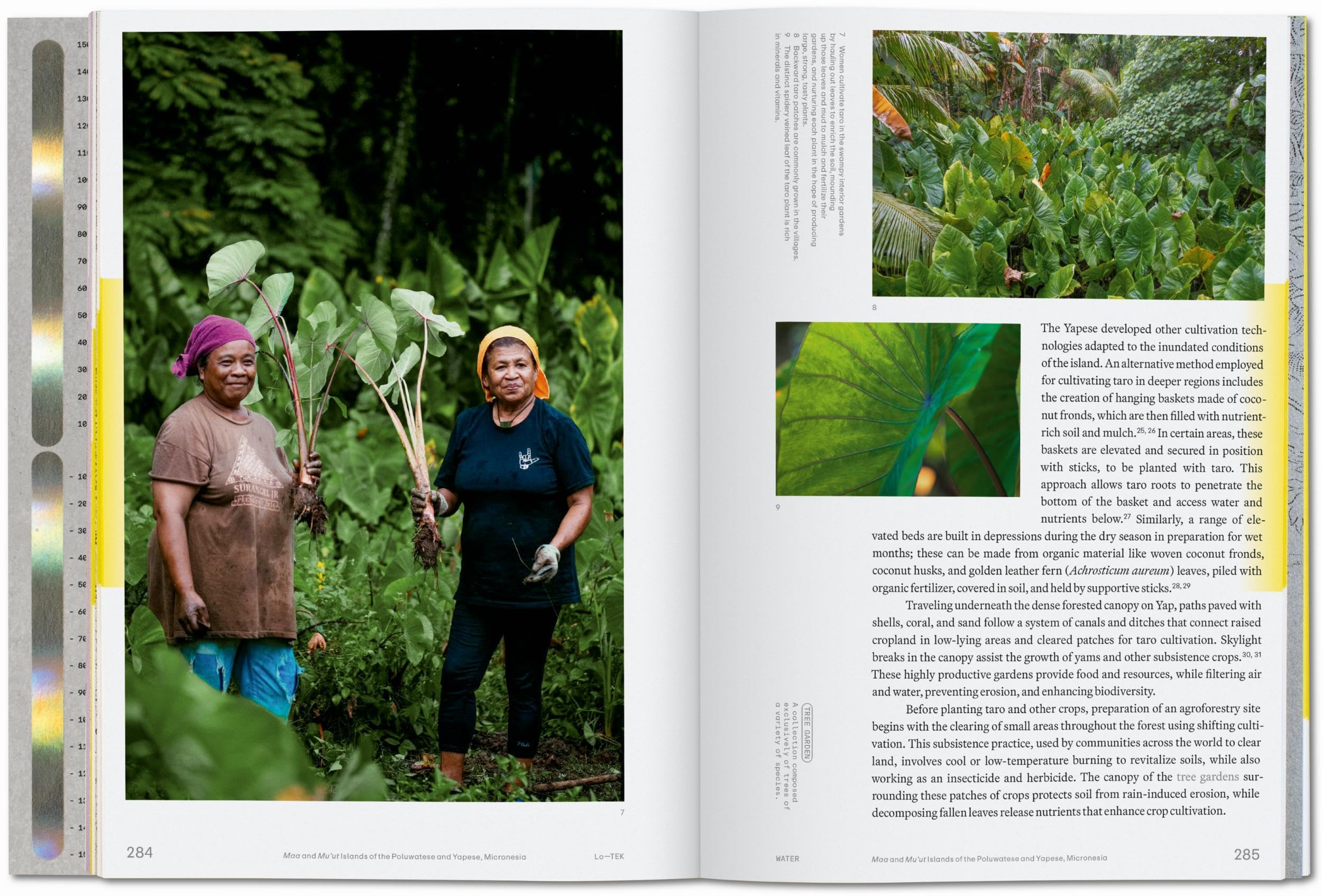 Julia Watson. Lo―TEK. Water. A Field Guide for TEKnology