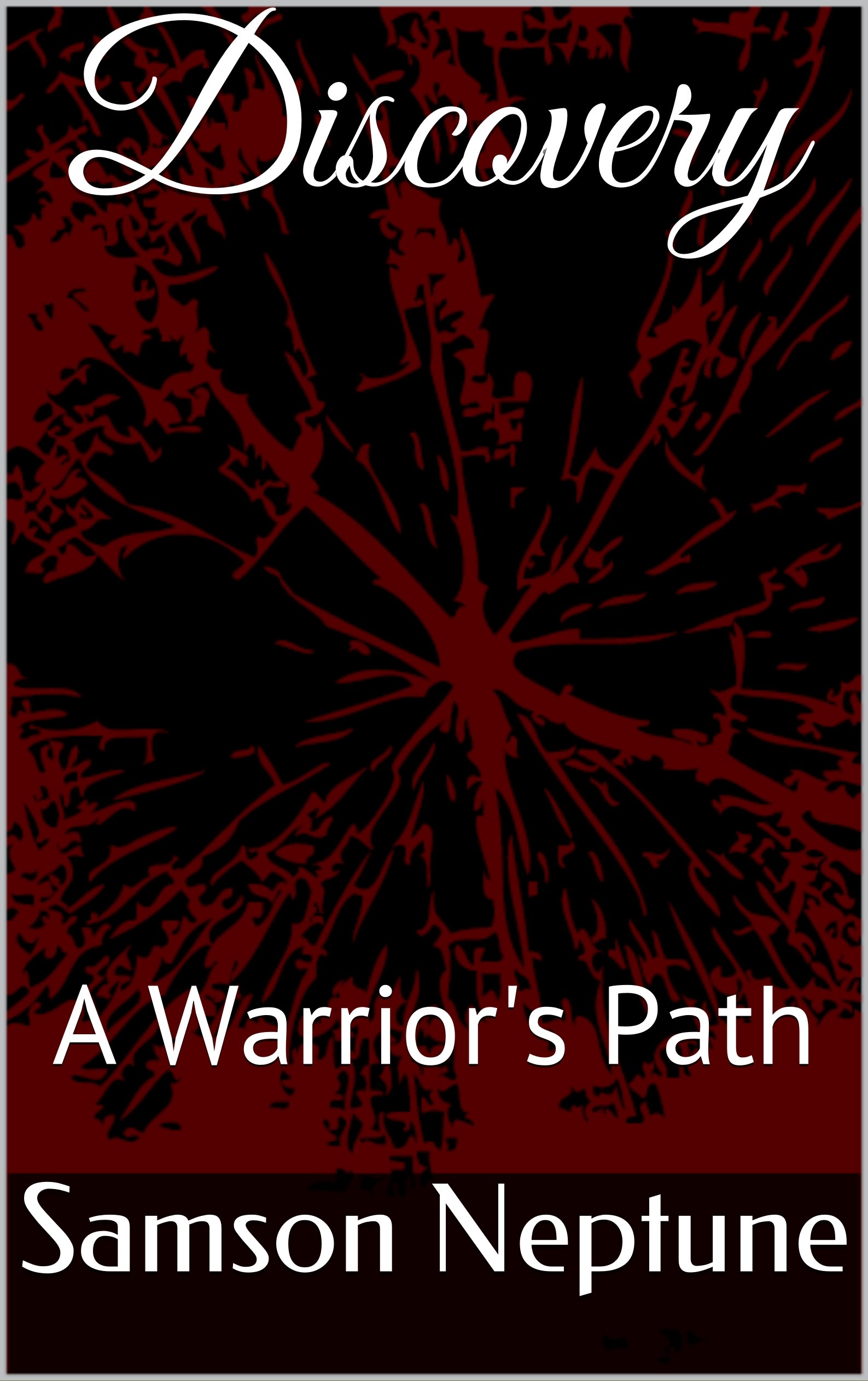 Discovery: A Warrior's Path