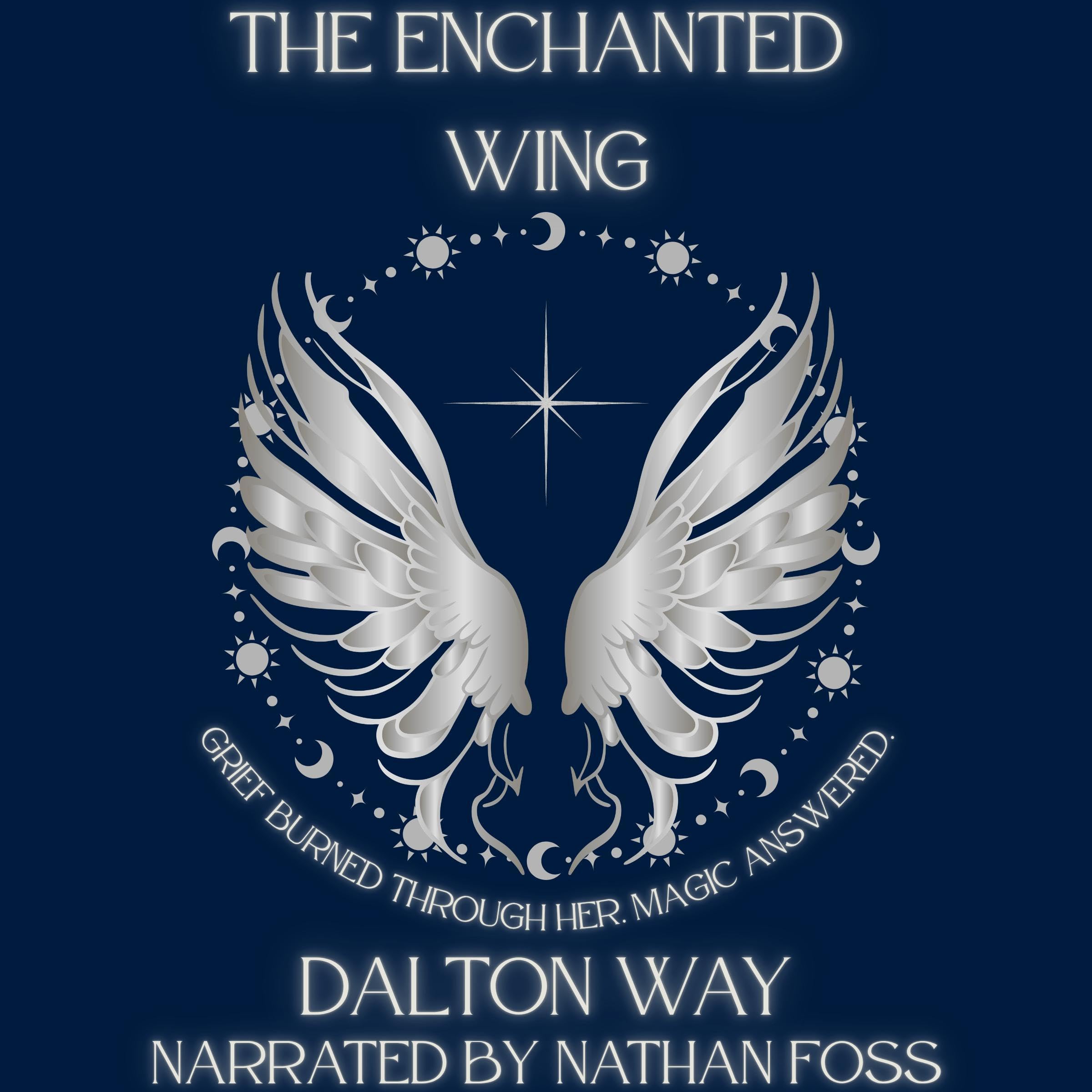 Cover art for The Enchanted Wing