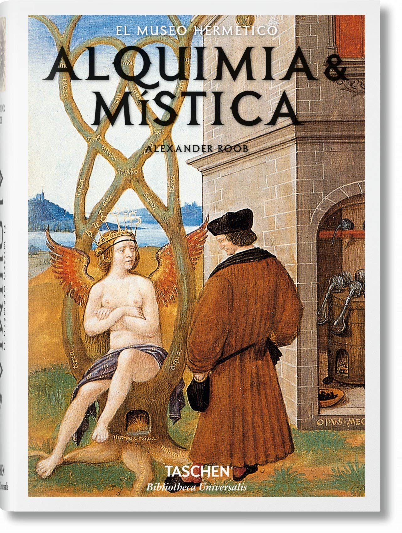 Alquimia & mística (Bibliotheca Universalis)